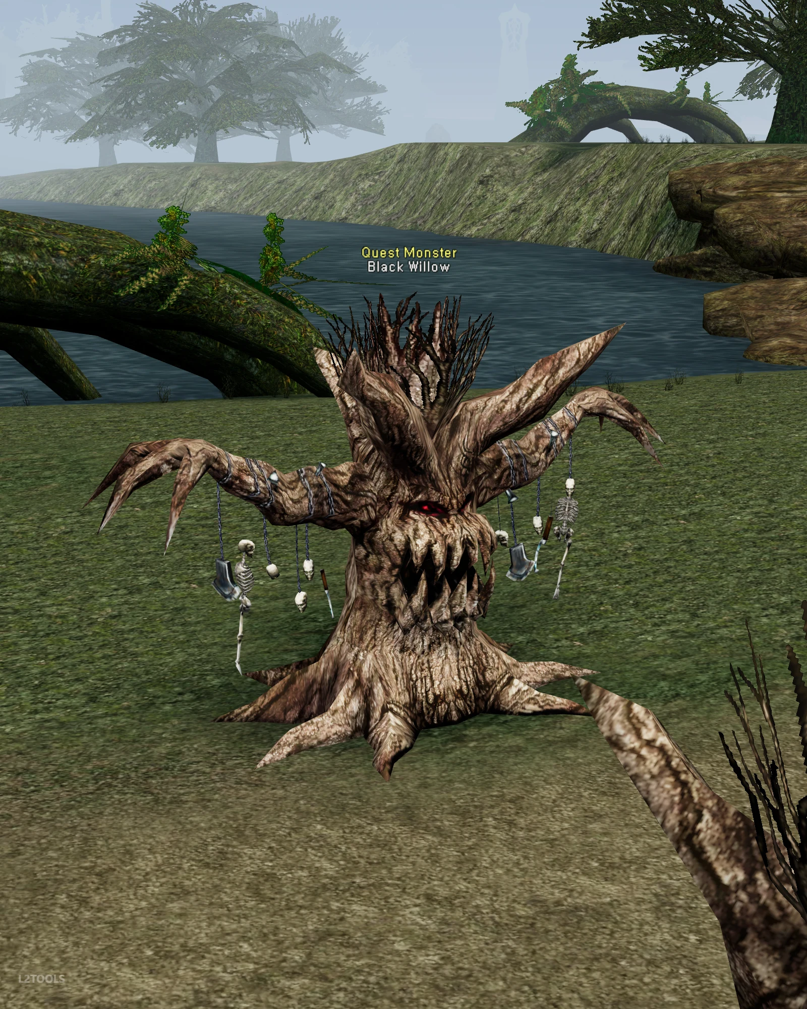 Black Willow portrait