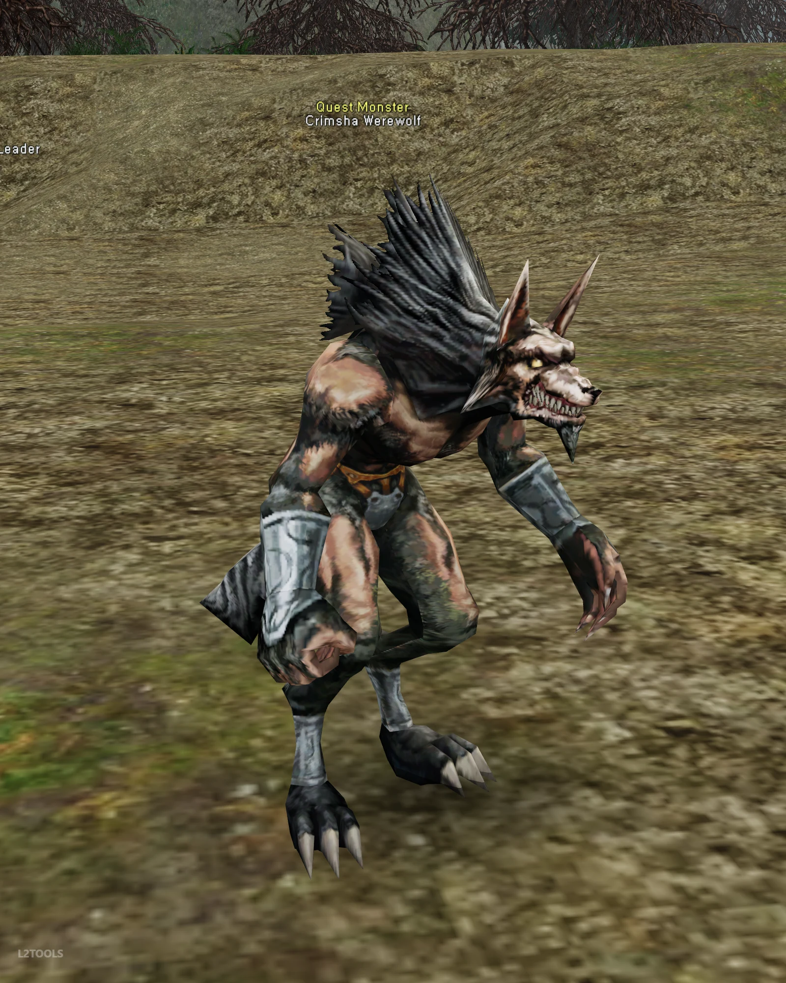 Crimsha Werewolf portrait