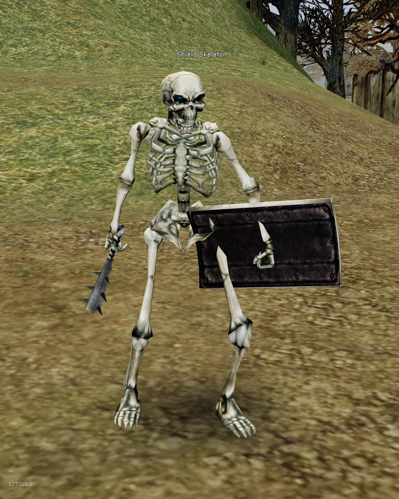Shield Skeleton portrait