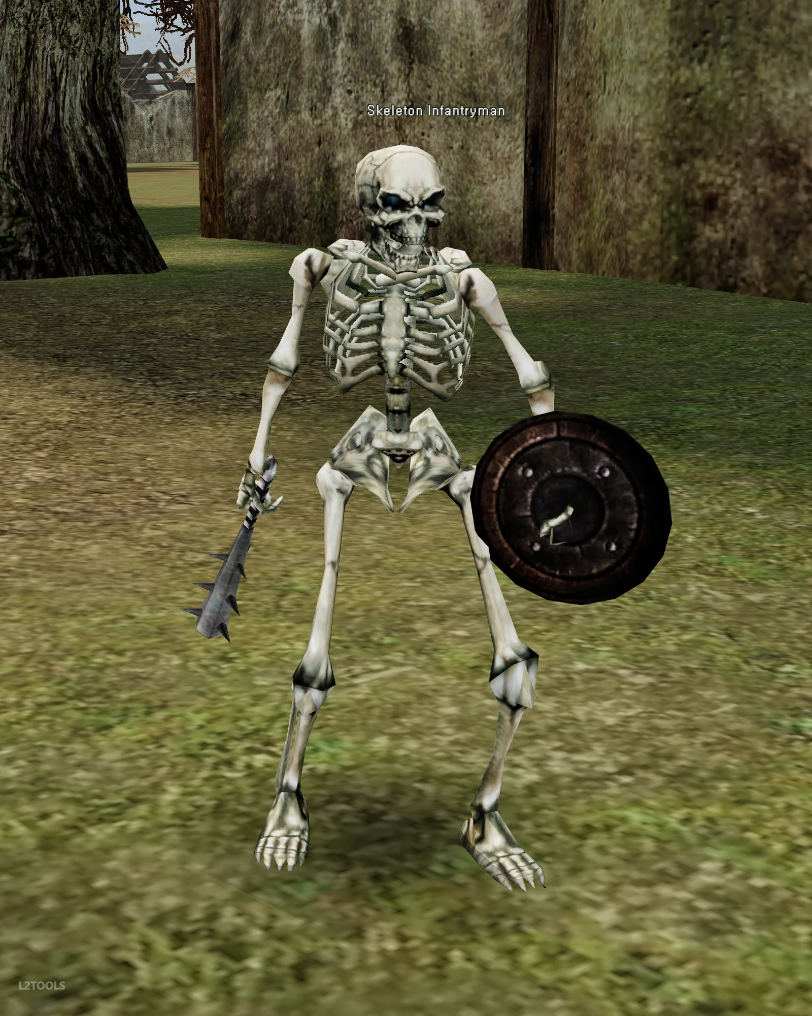 Skeleton Infantryman portrait