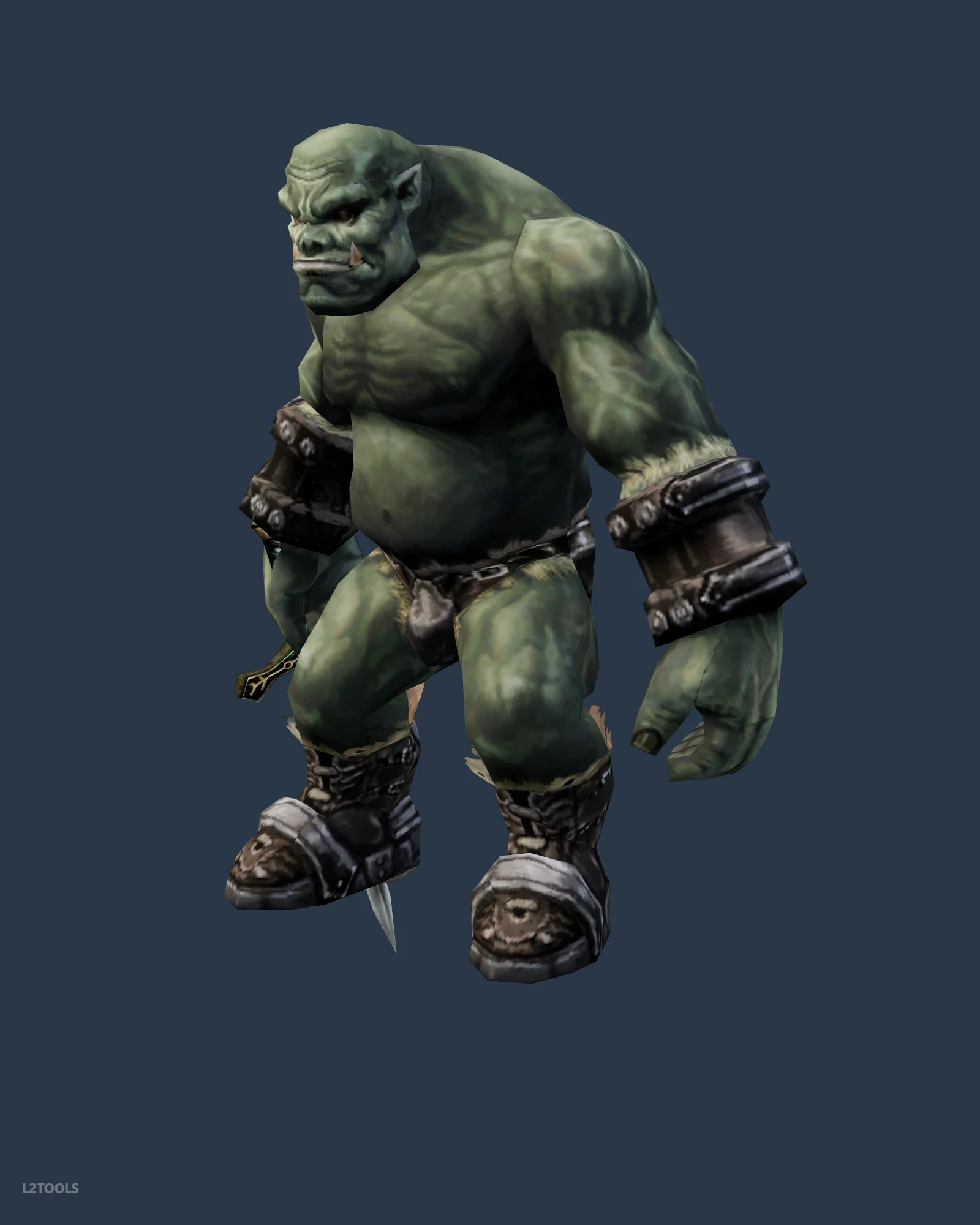 Ramsebalius portrait