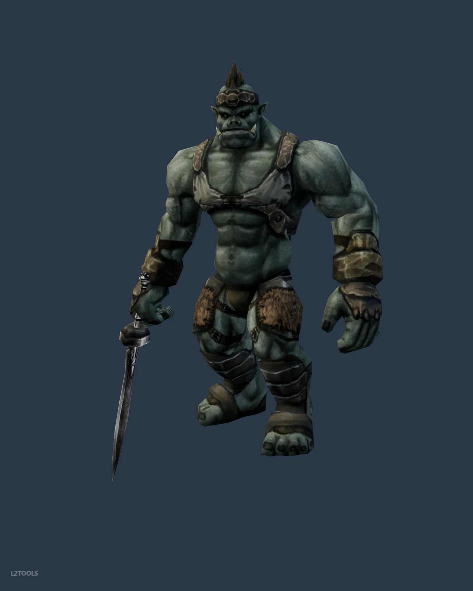 Timak Raider Kaikee portrait