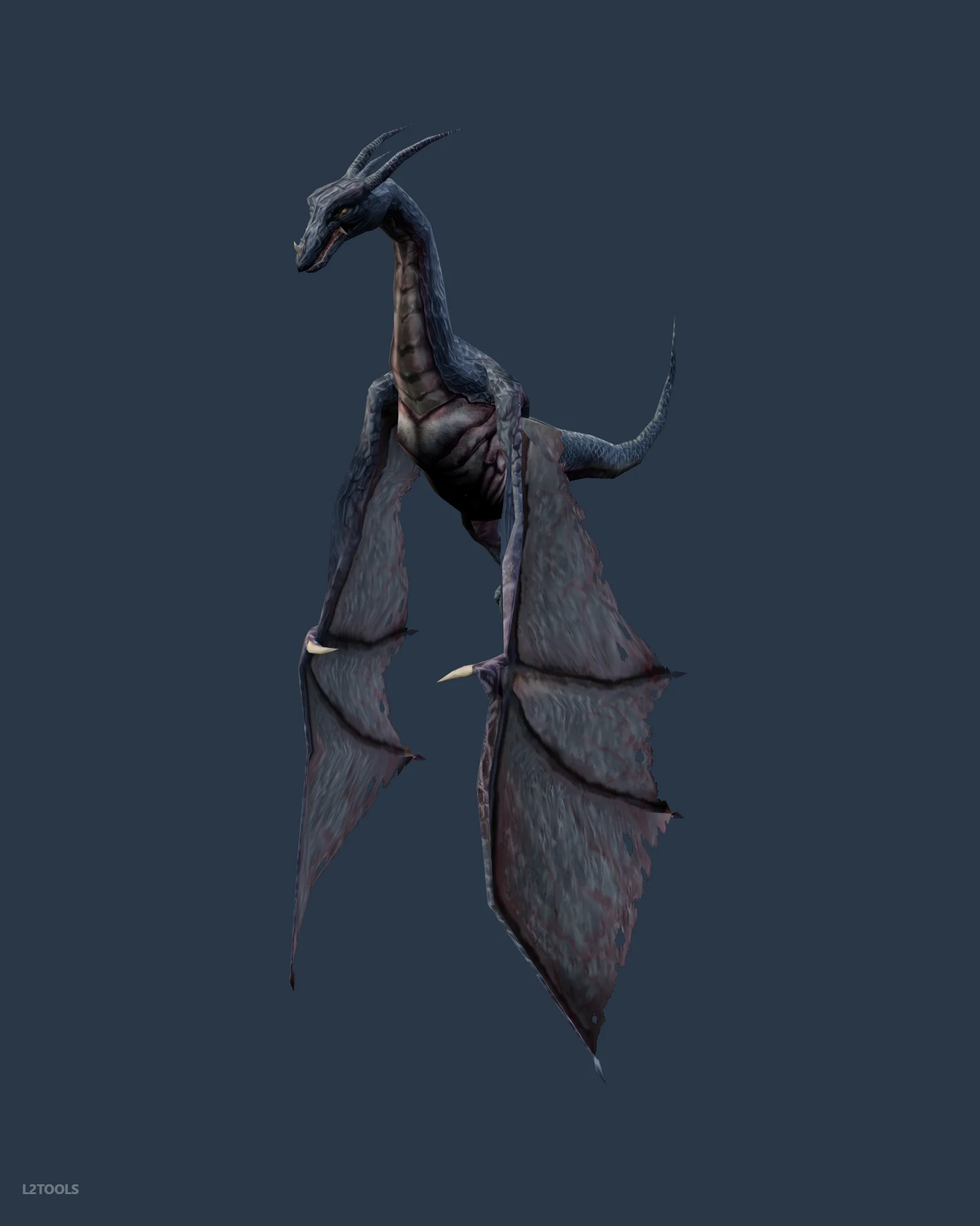 Blitz Wyrm portrait