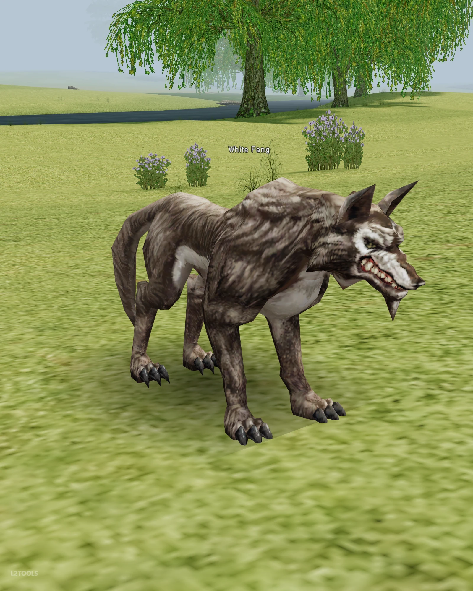 White Fang portrait