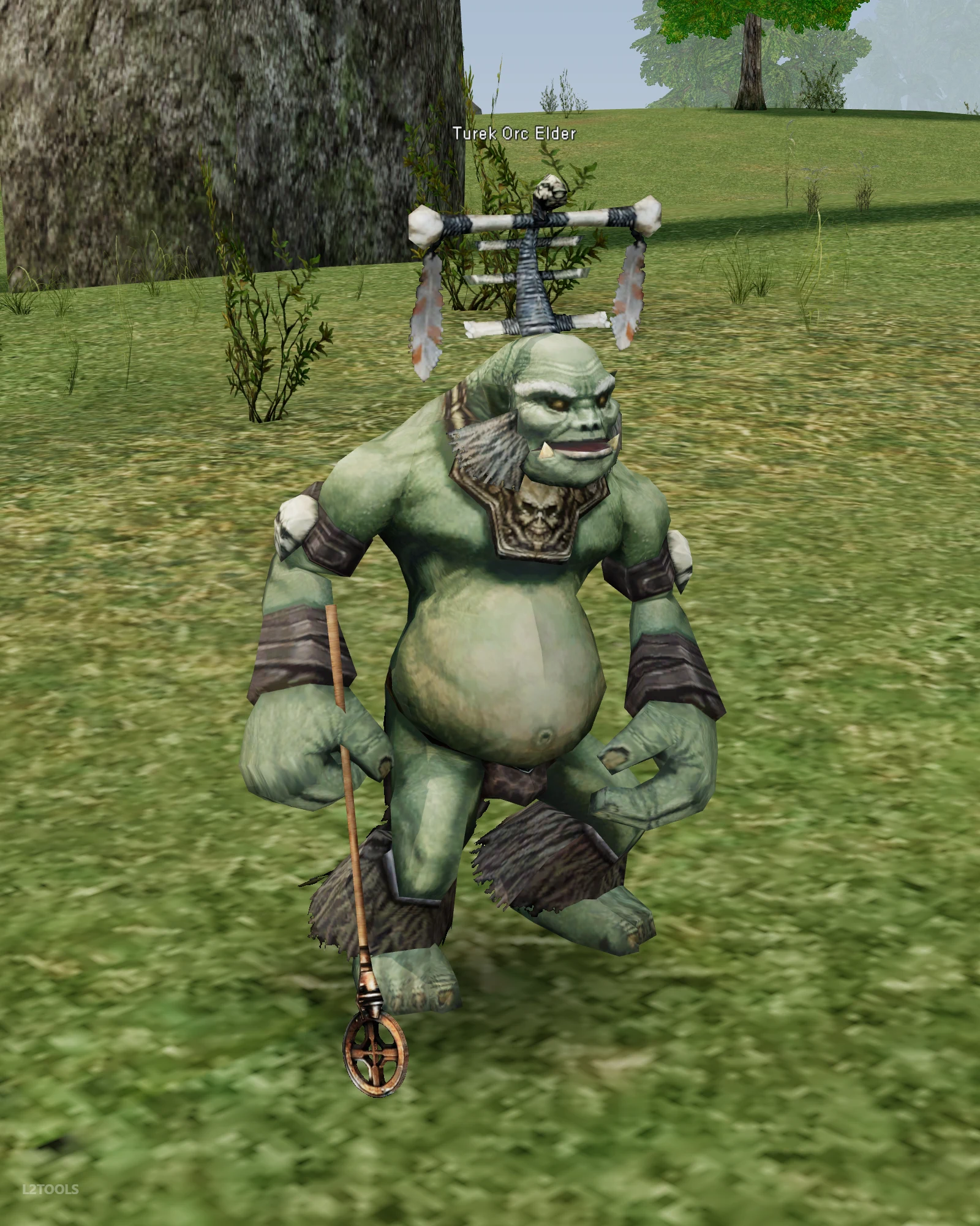 Turek Orc Elder portrait