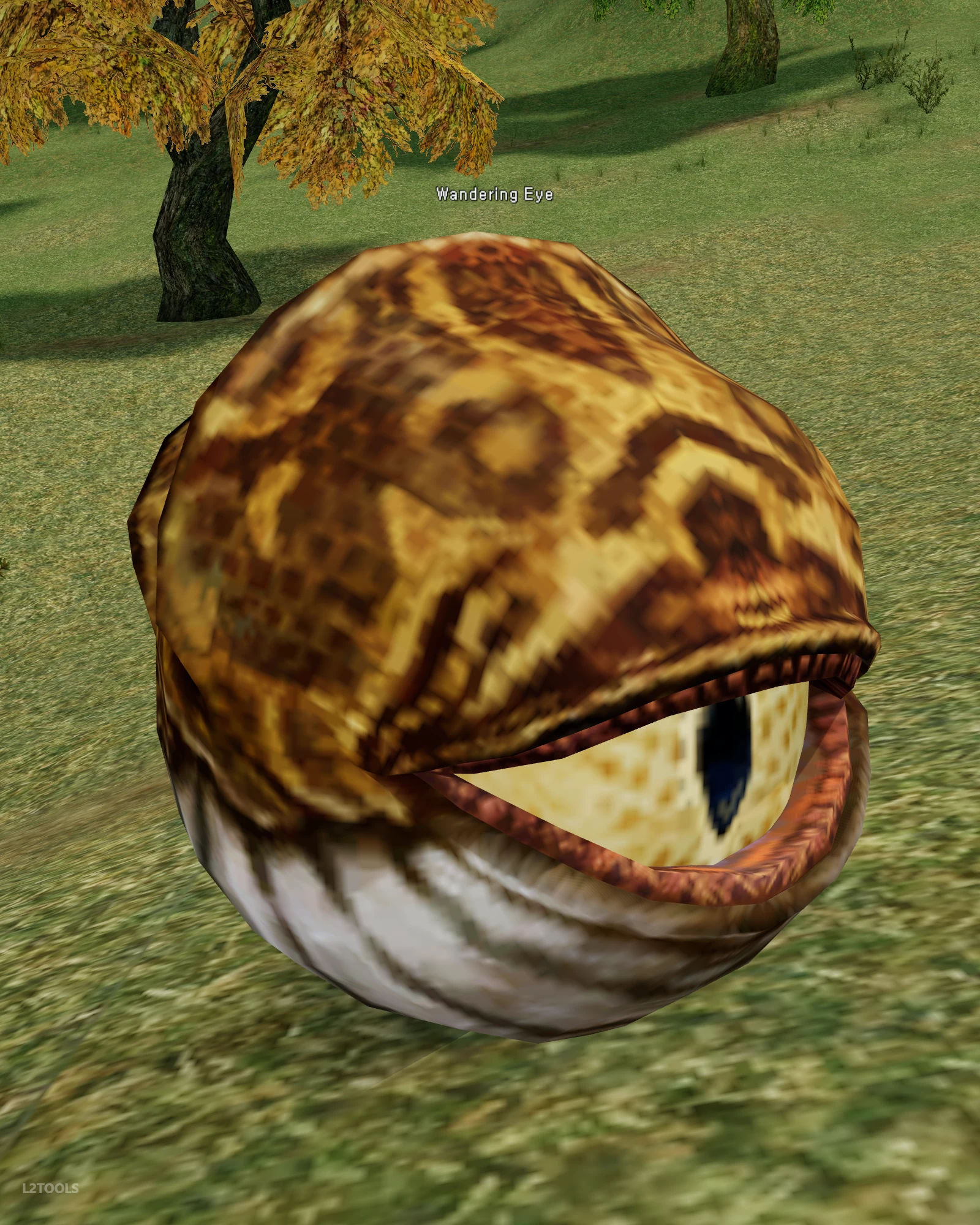 Wandering Eye portrait