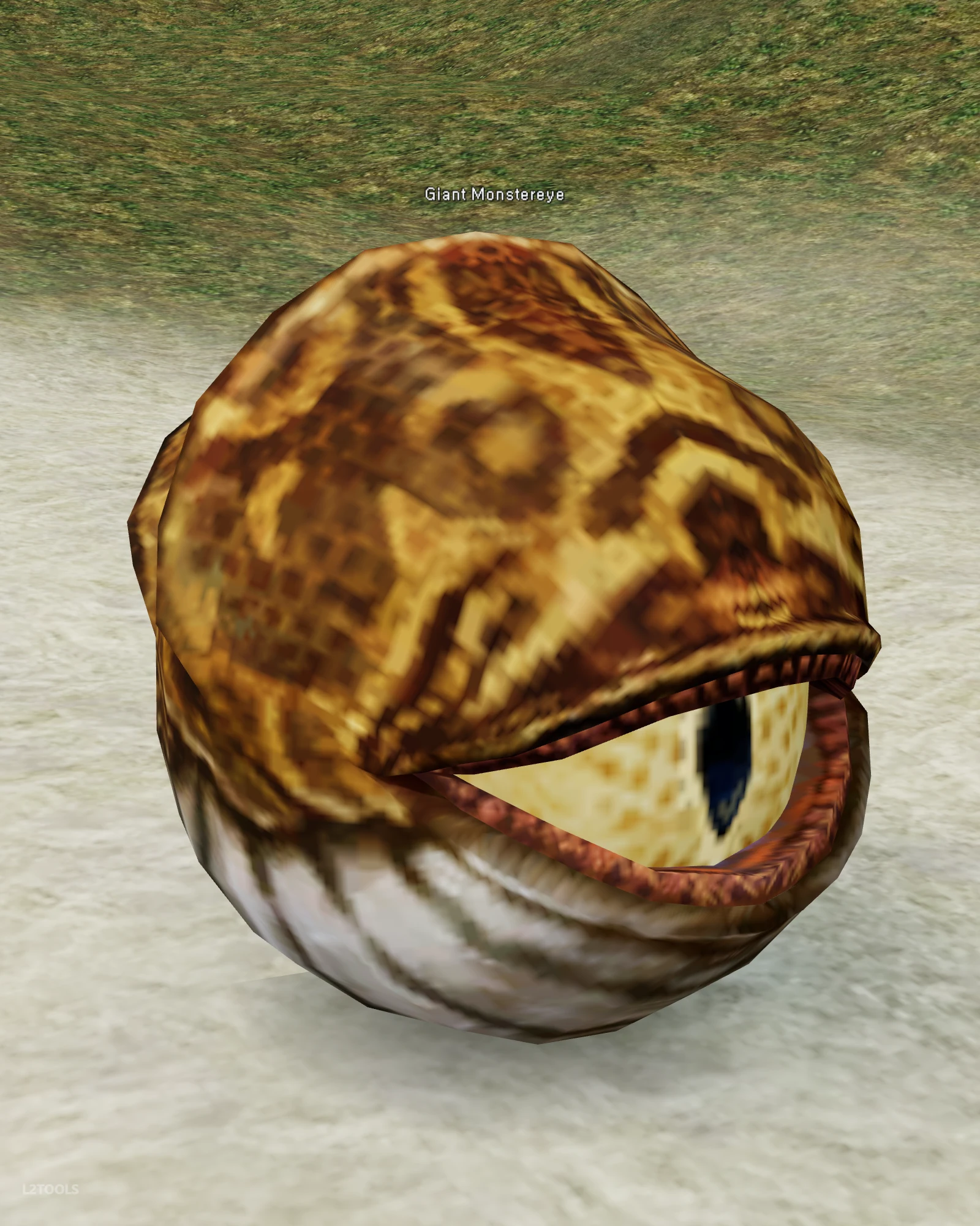 Giant Monstereye portrait