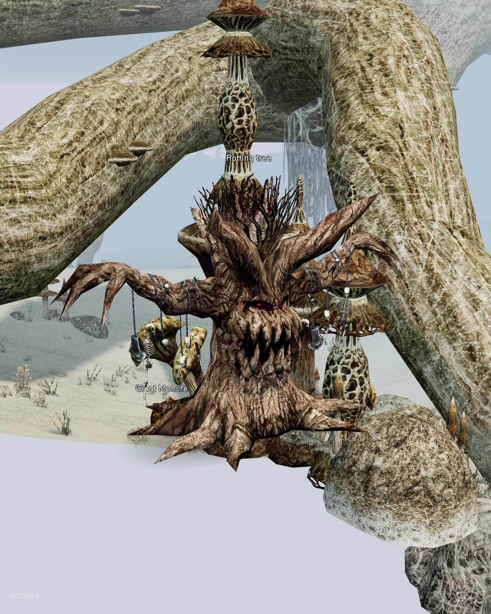 Rotting tree portrait
