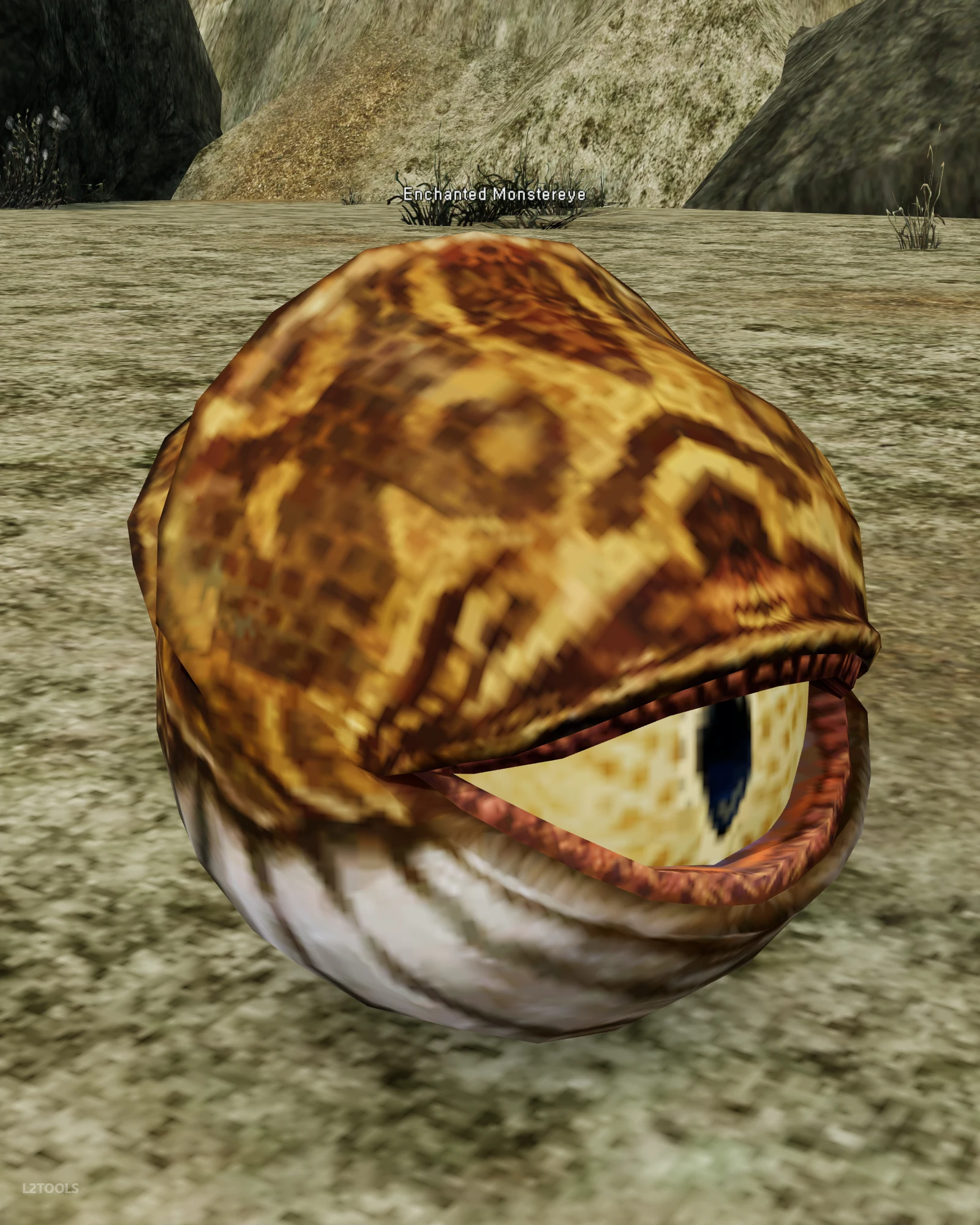 Enchanted Monstereye portrait