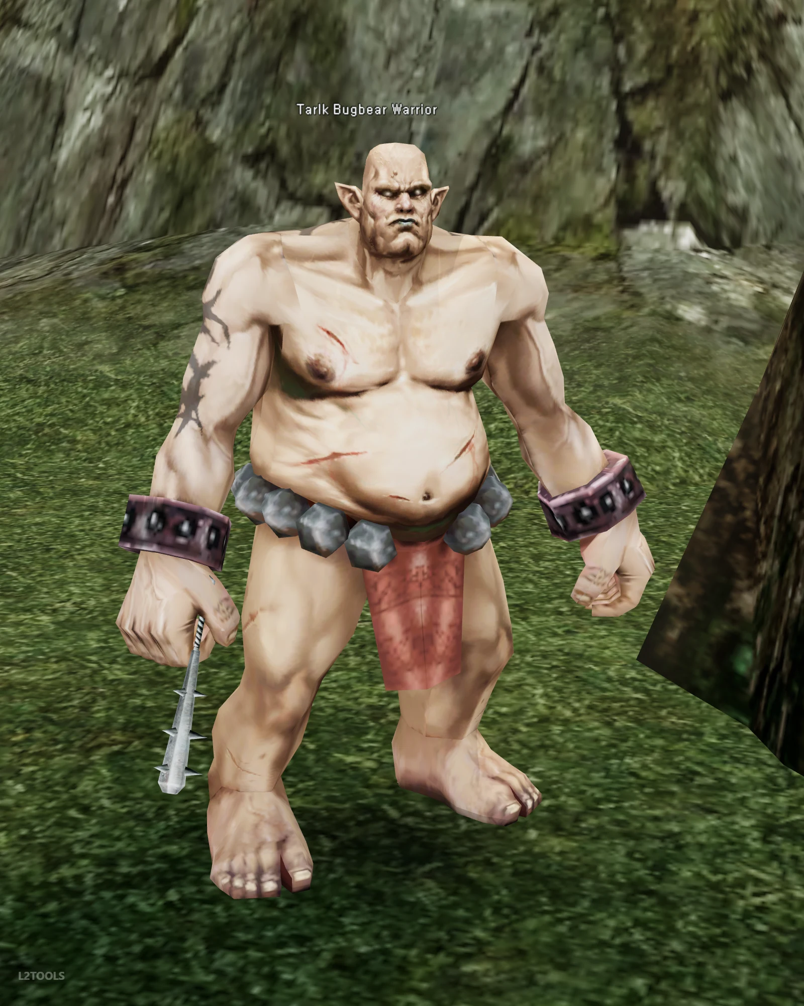 Tarlk Bugbear Warrior portrait