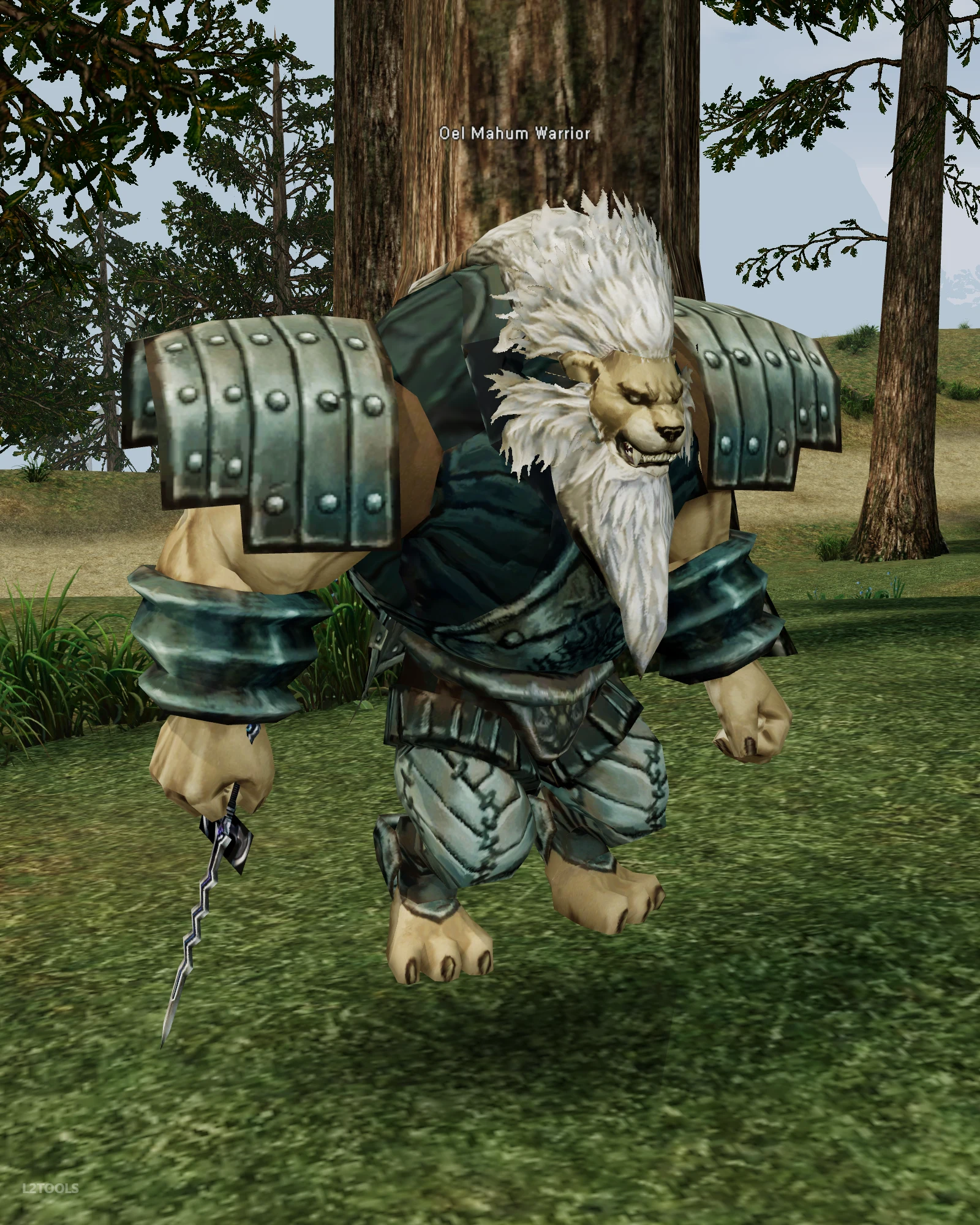 Oel Mahum Warrior portrait