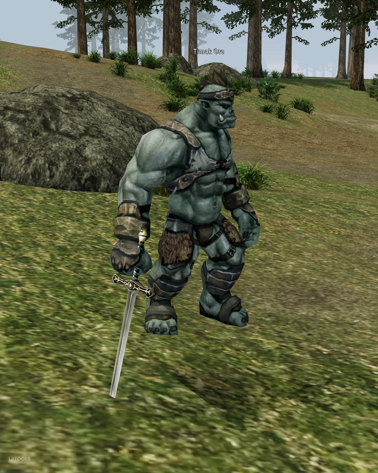Timak Orc portrait