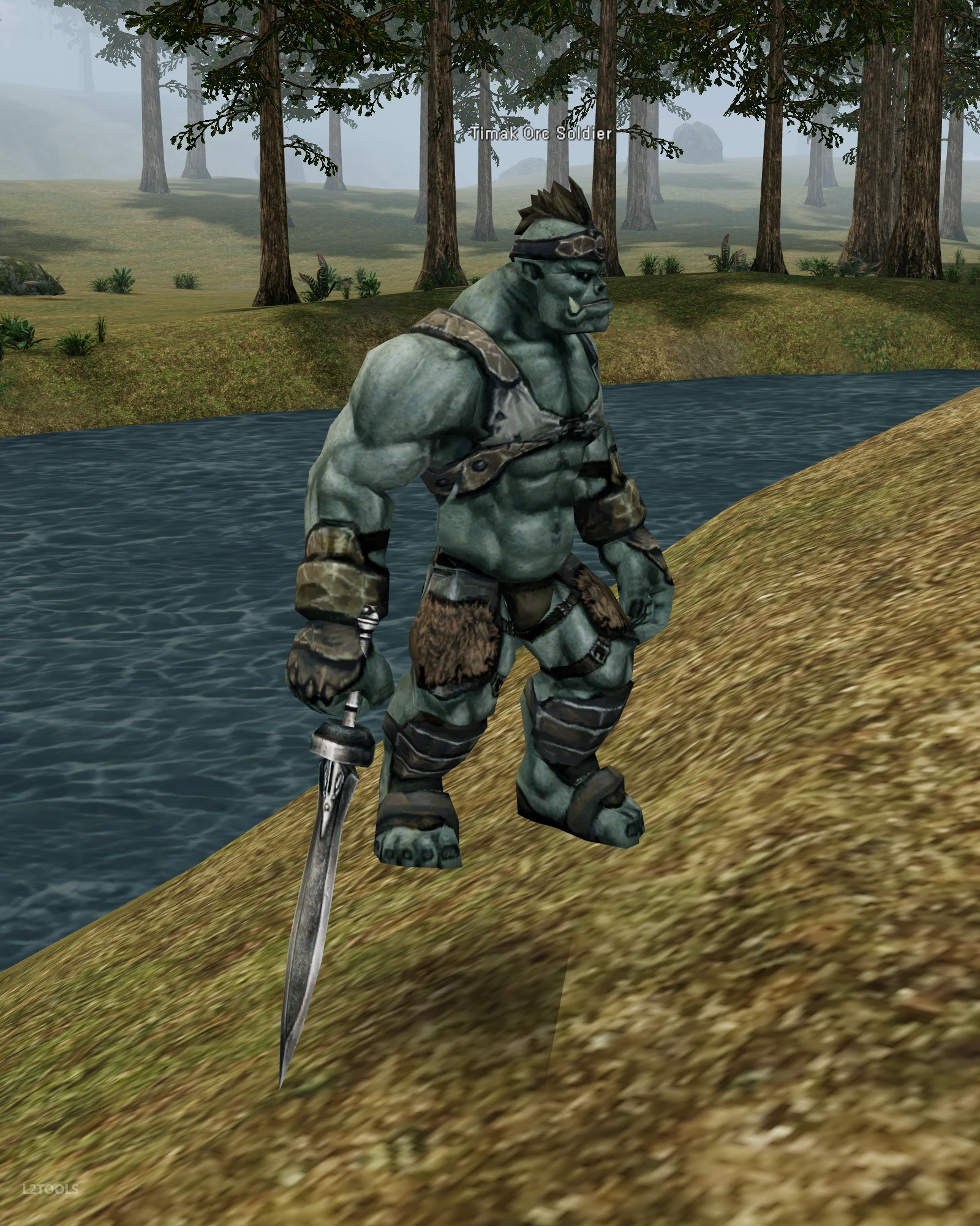 Timak Orc Soldier portrait
