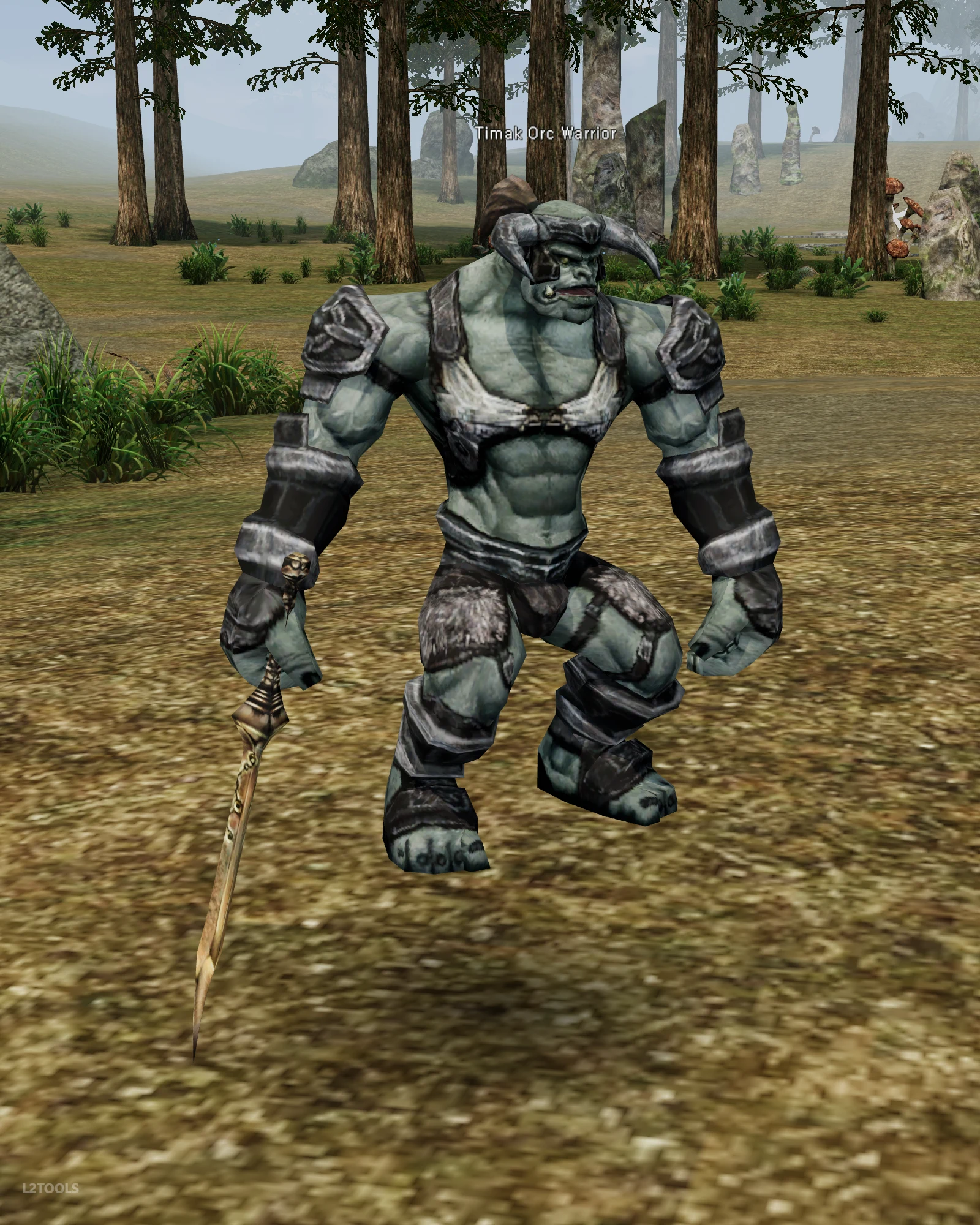 Timak Orc Warrior portrait