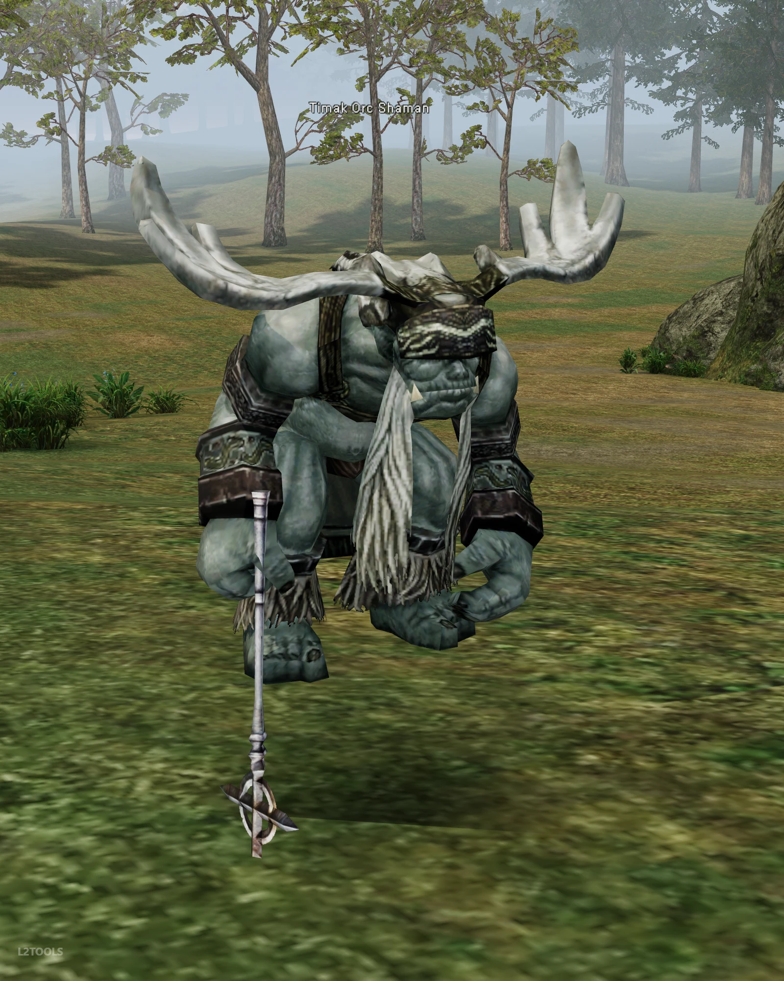 Timak Orc Shaman portrait