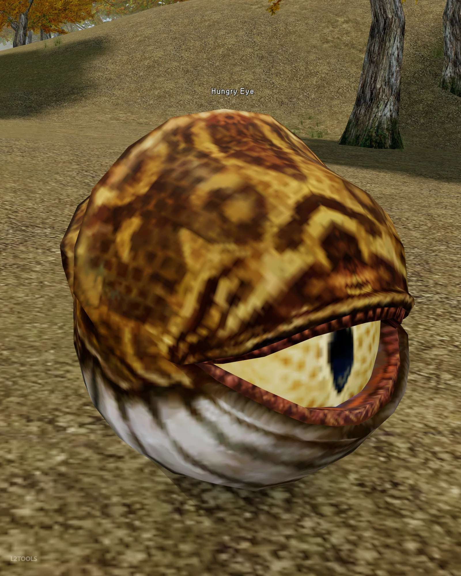 Hungry Eye portrait