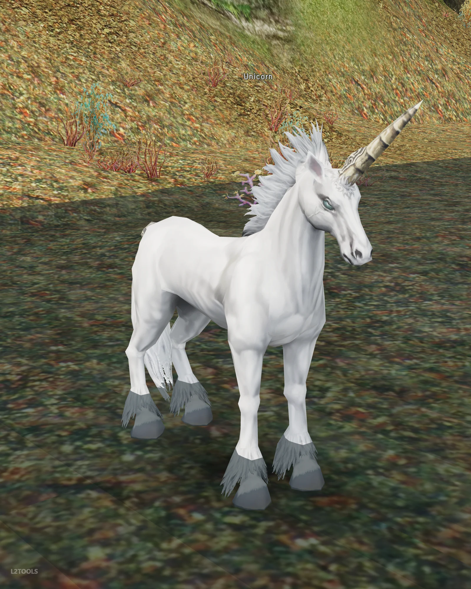Unicorn portrait