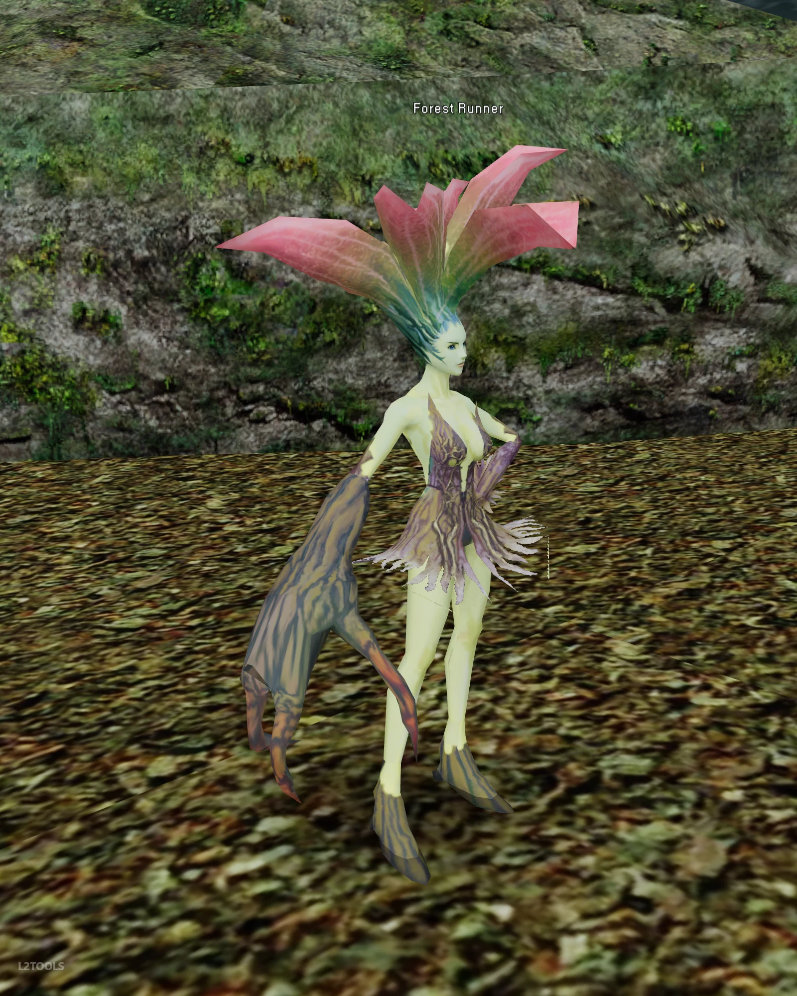 Forest Runner portrait