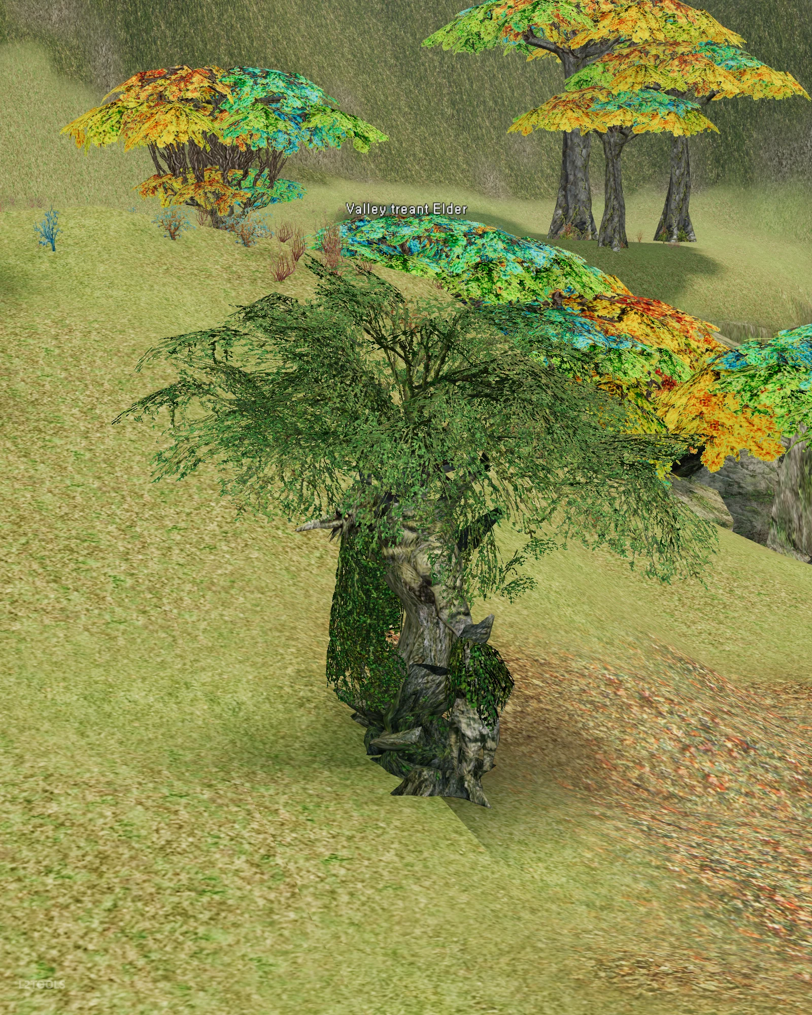 Valley treant Elder portrait