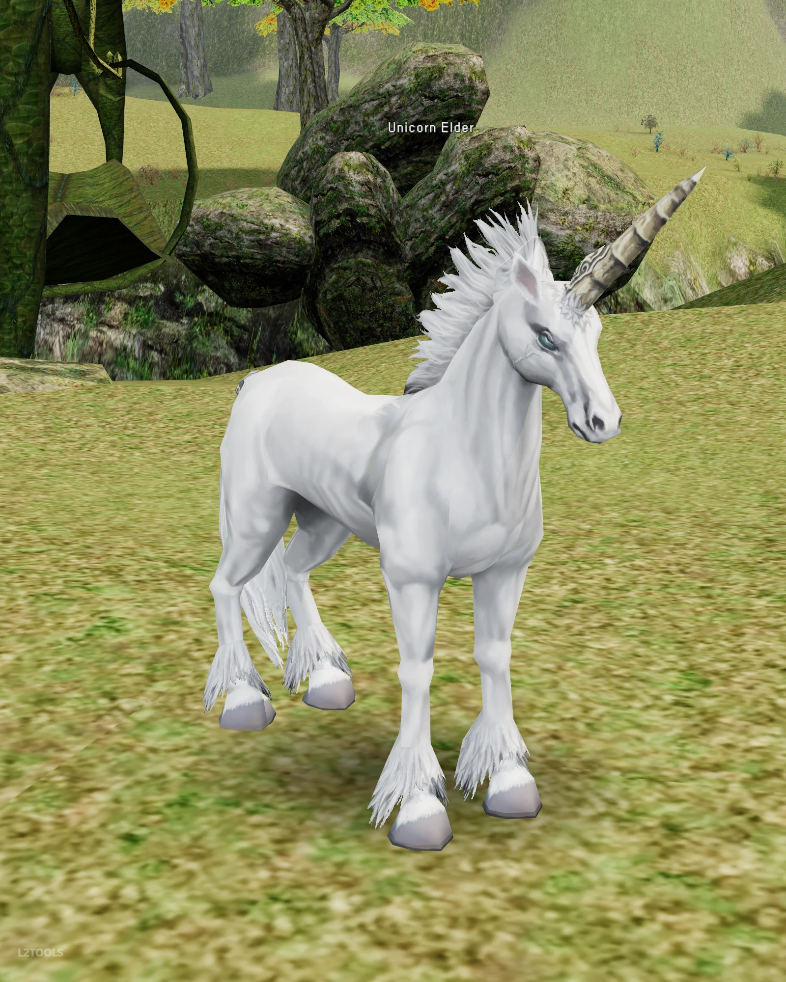 Unicorn Elder portrait