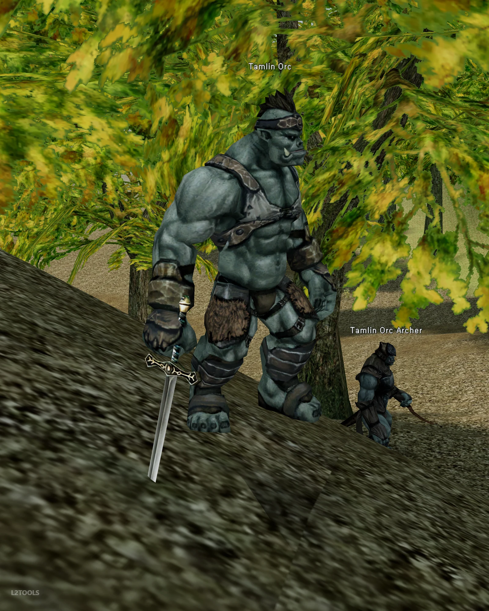 Tamlin Orc portrait