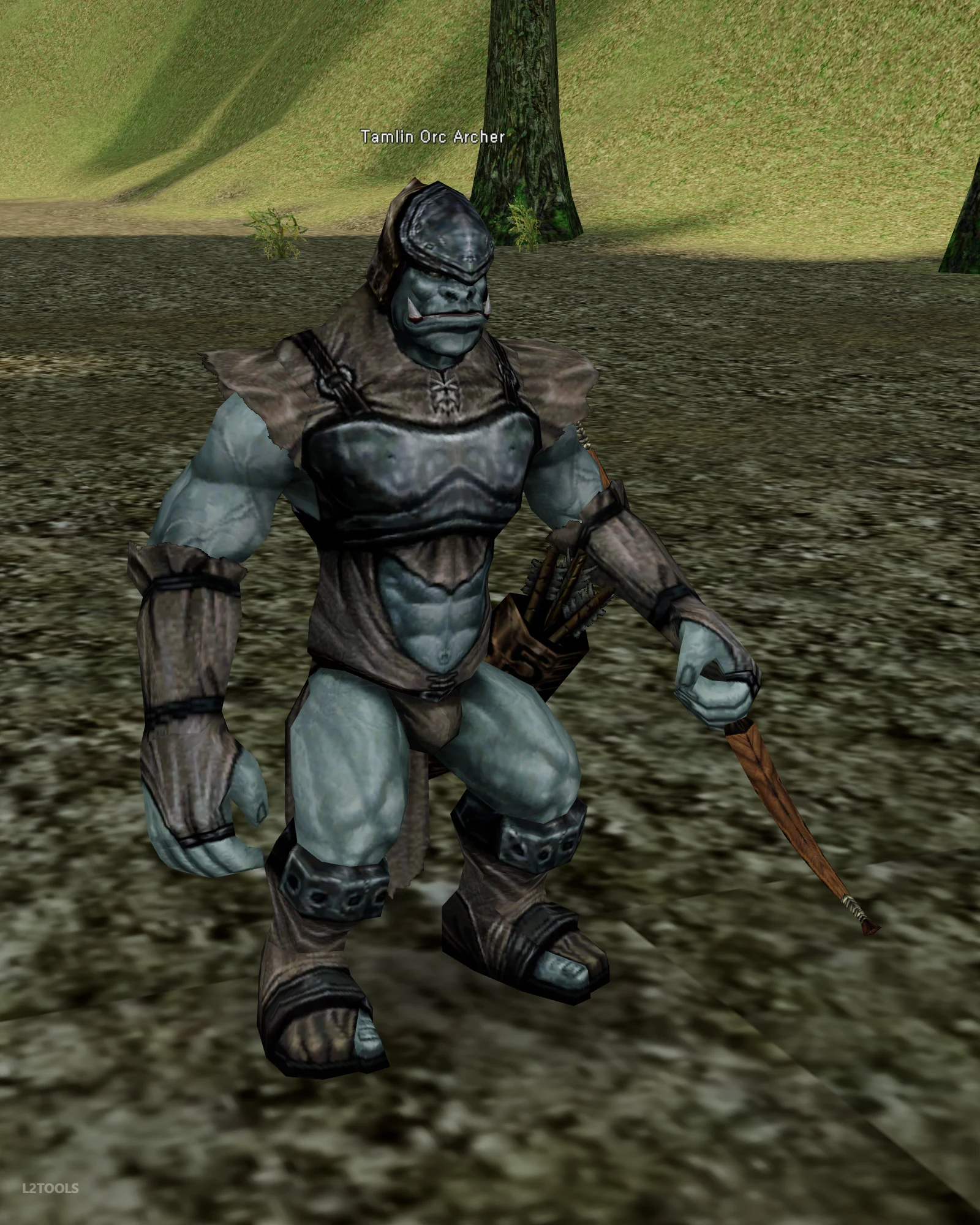 Tamlin Orc Archer portrait