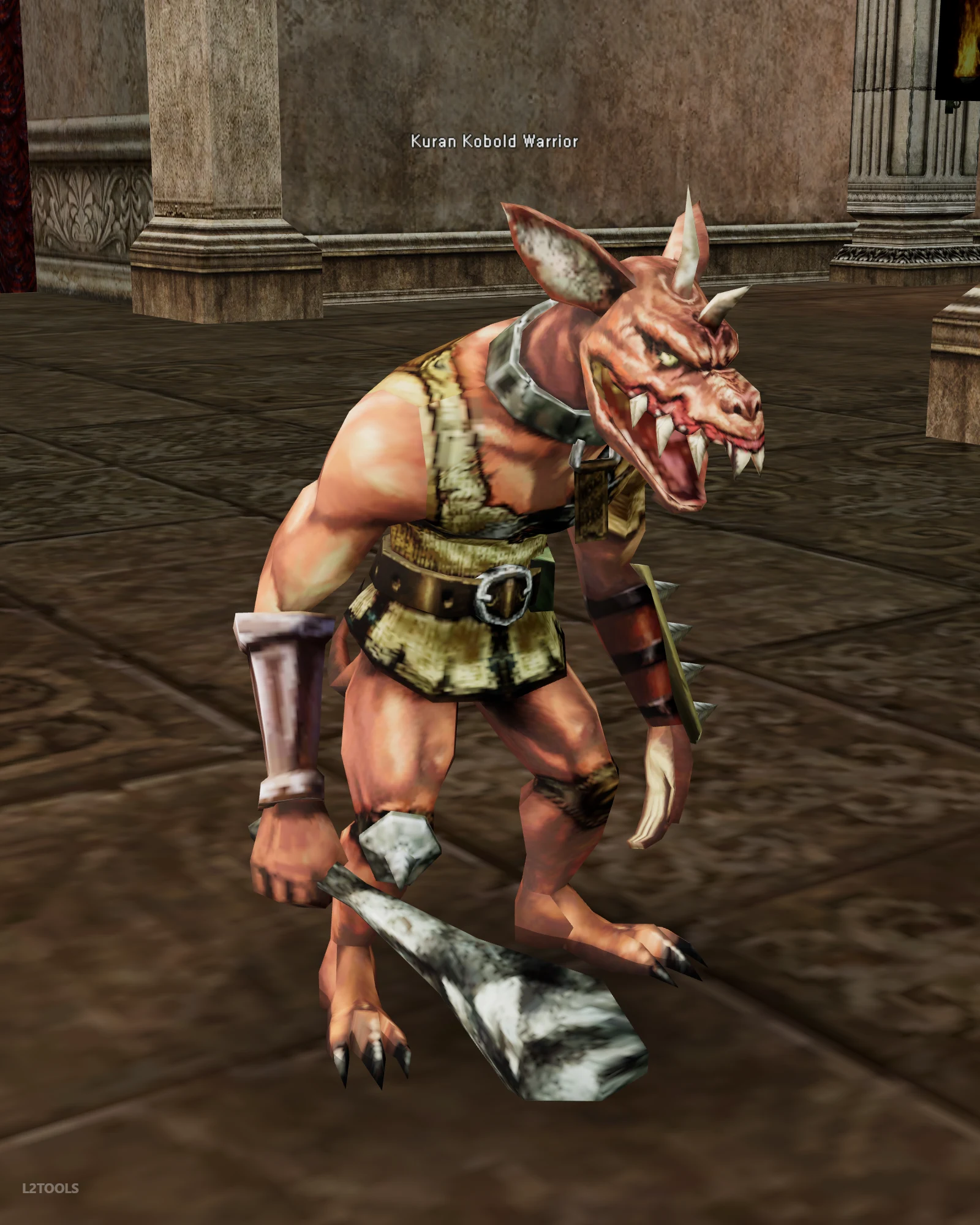Kuran Kobold Warrior portrait