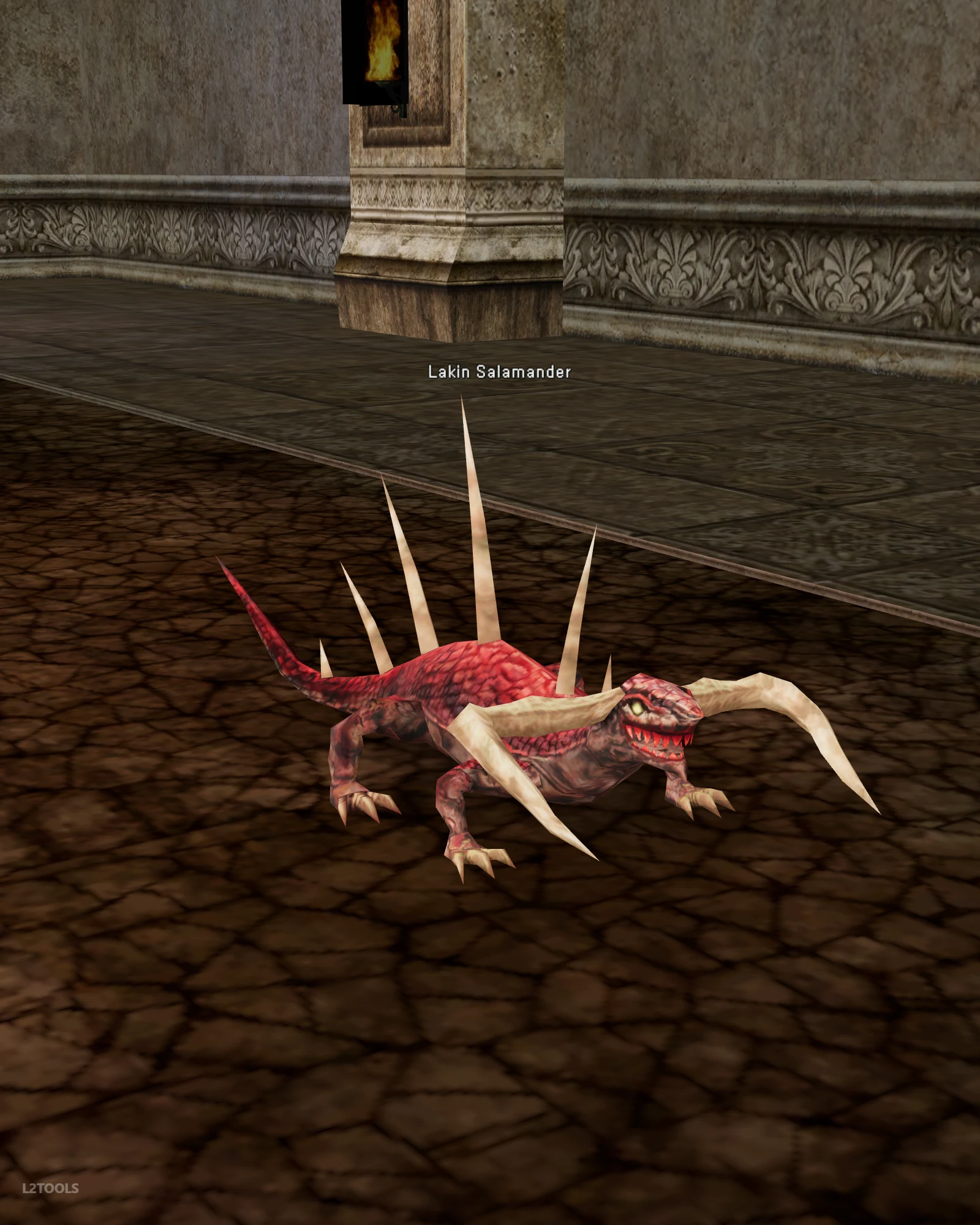 Lakin Salamander portrait