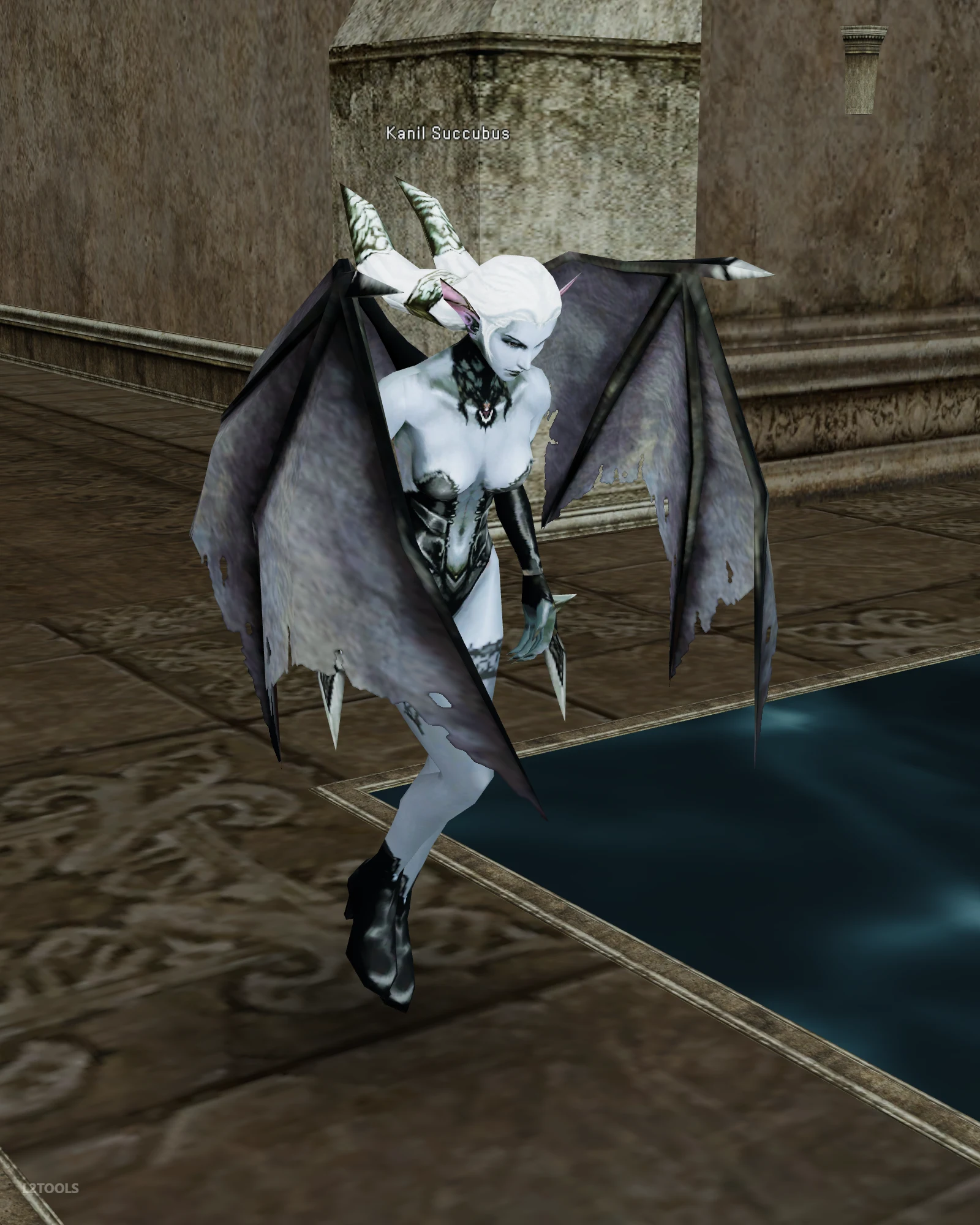 Kanil Succubus portrait