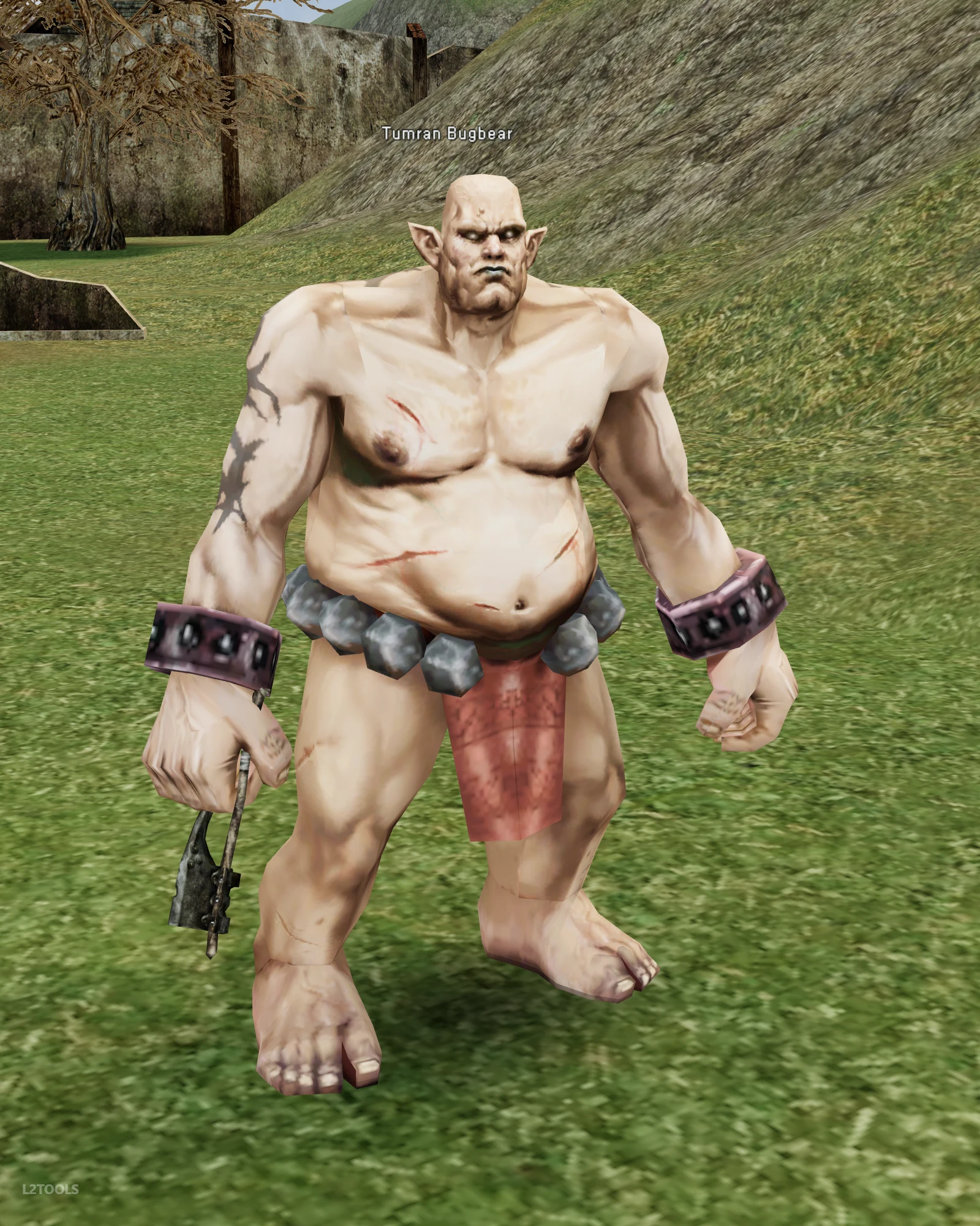 Tumran Bugbear portrait