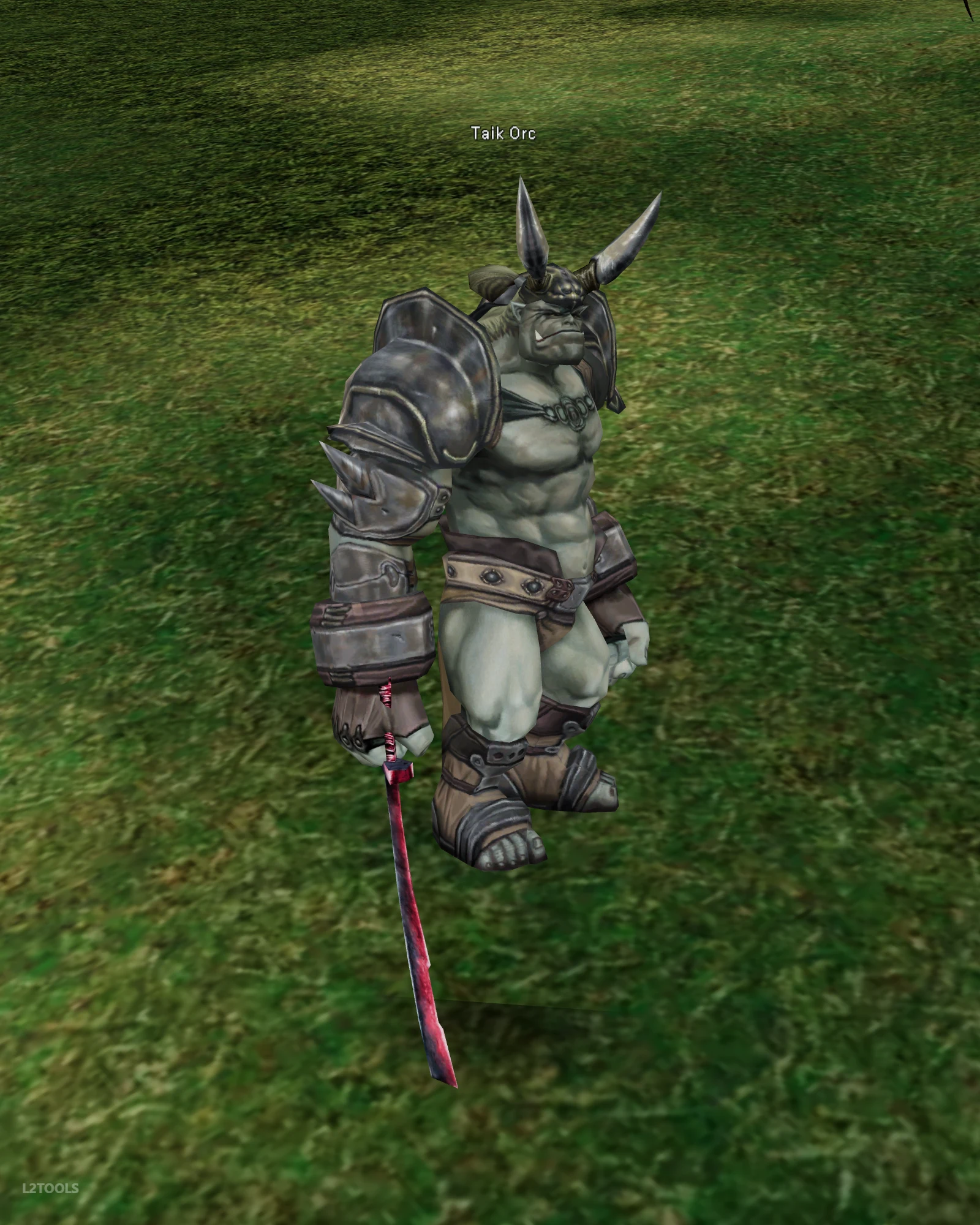 Taik Orc portrait