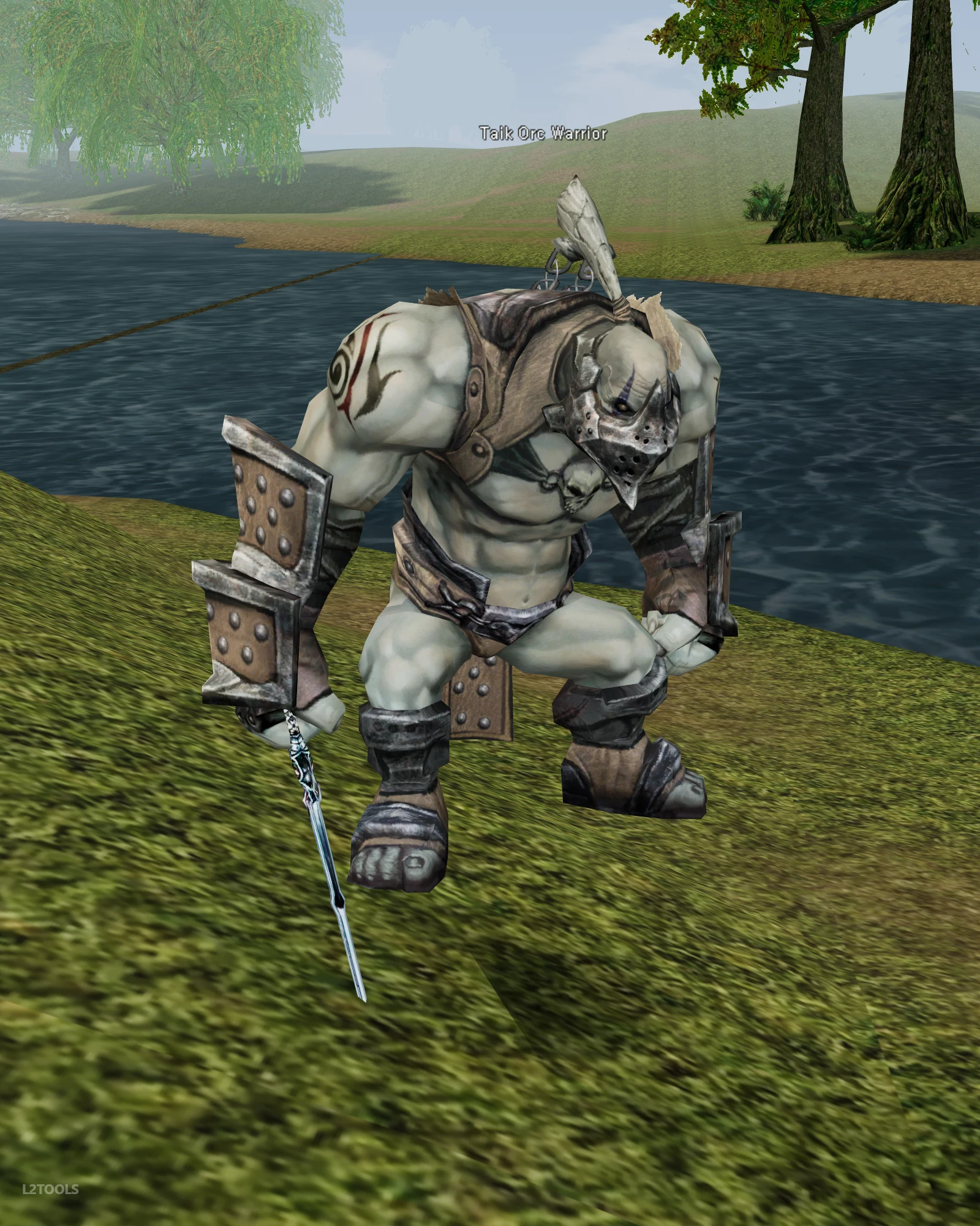 Taik Orc Warrior portrait