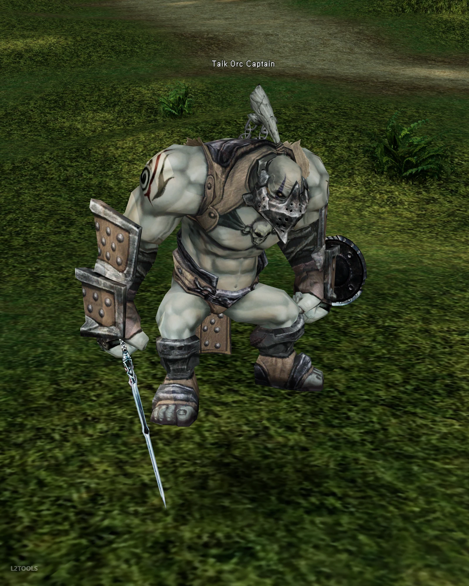 Taik Orc Captain portrait