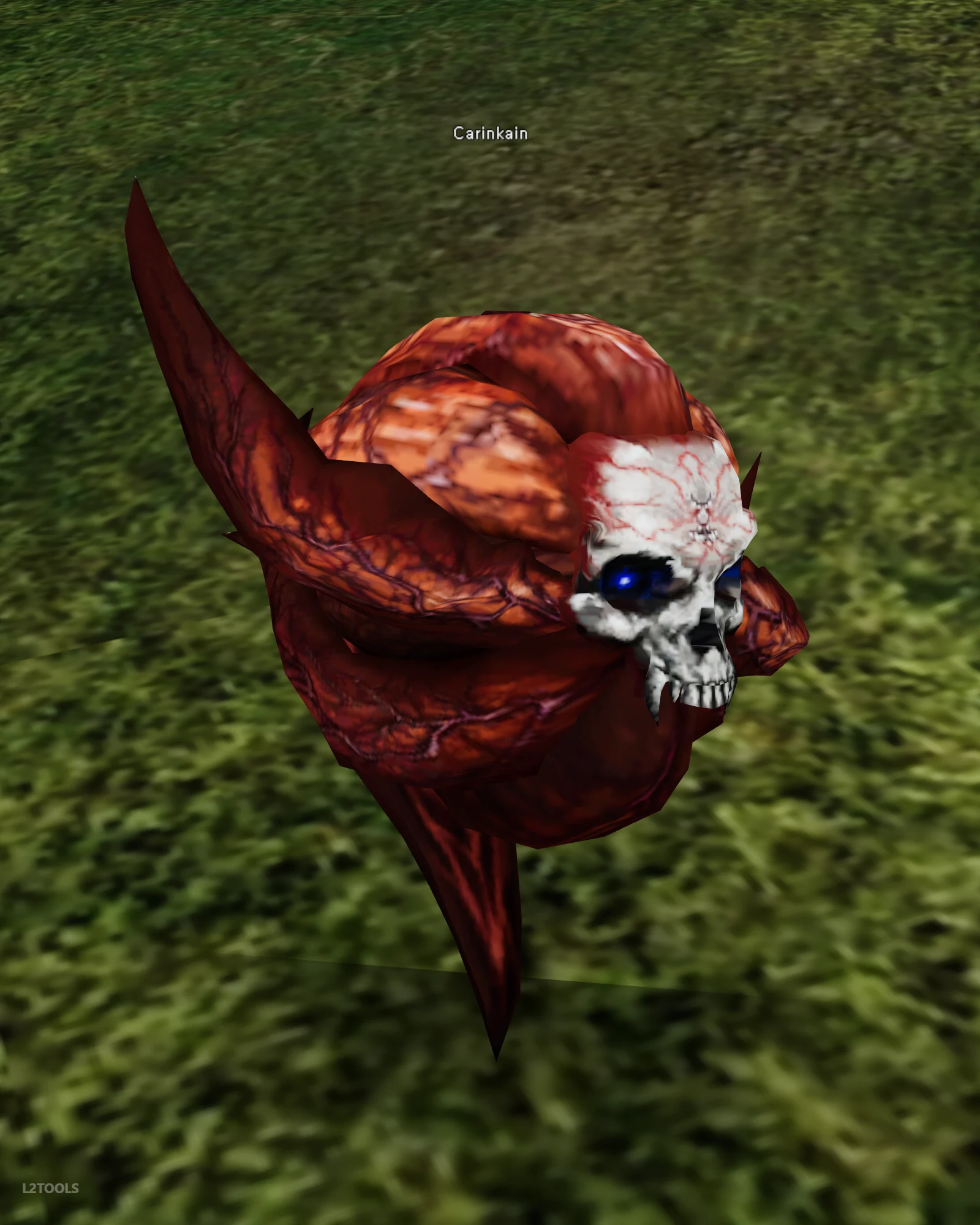 Carinkain portrait