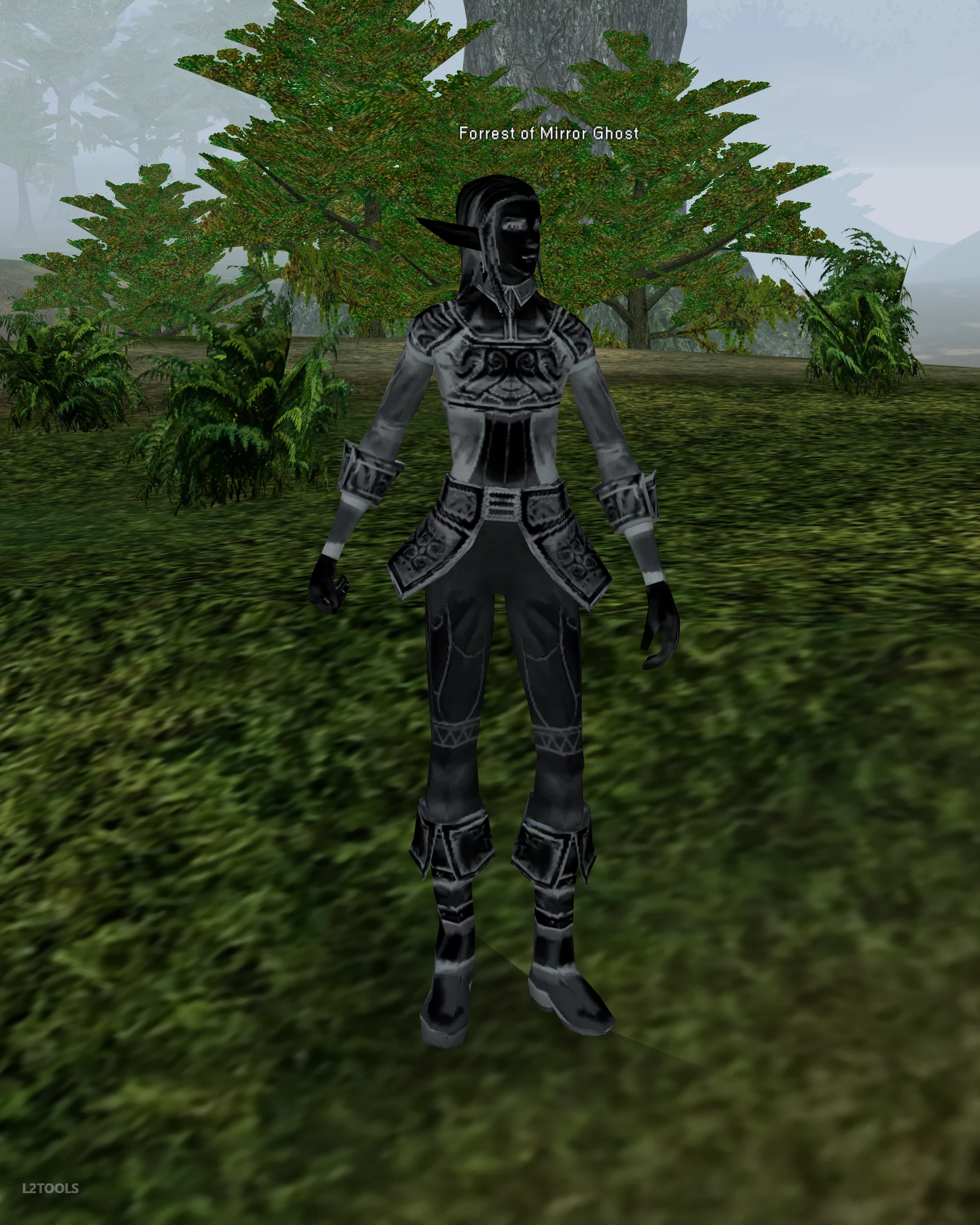 Forrest of Mirror Ghost portrait