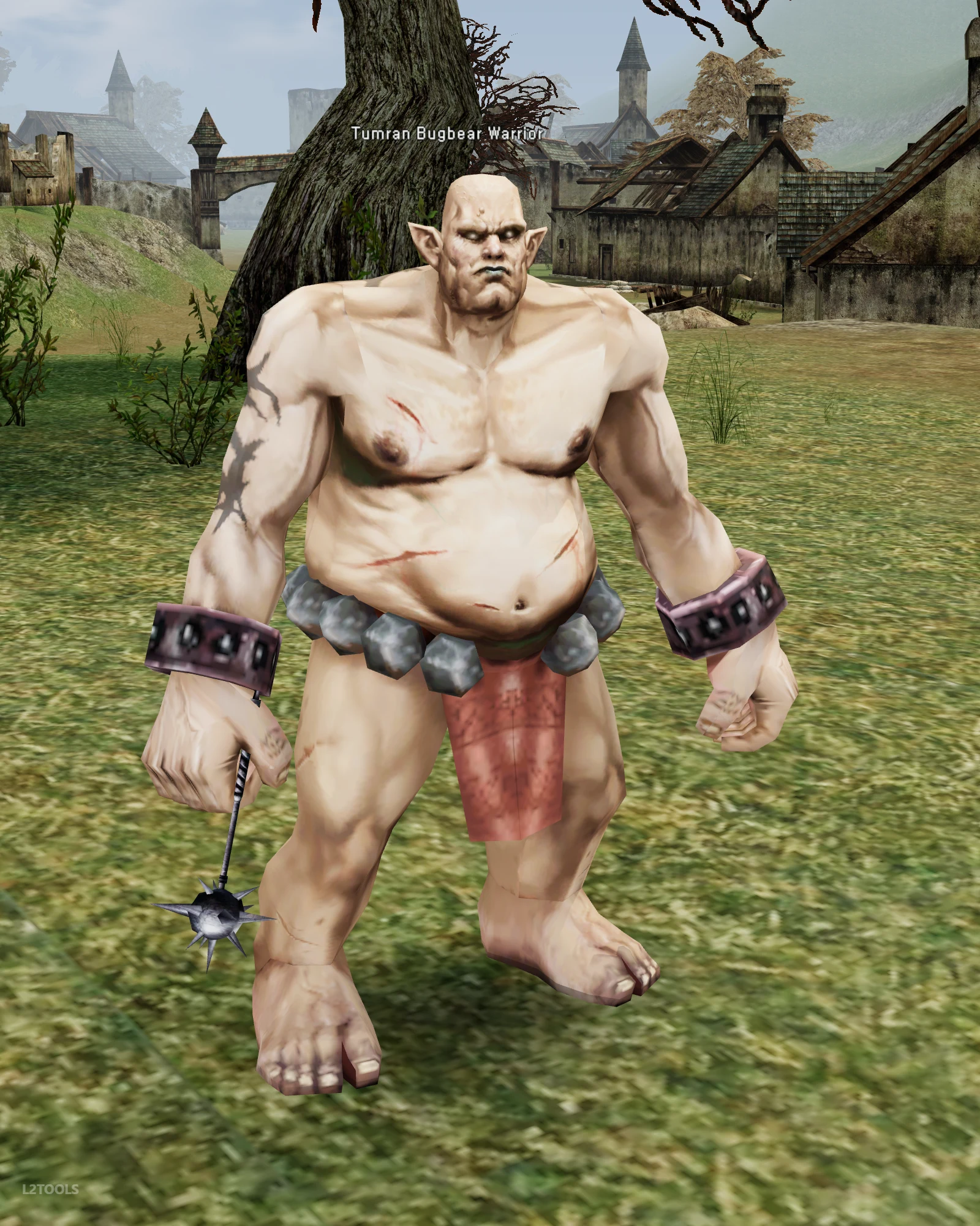 Tumran Bugbear Warrior portrait
