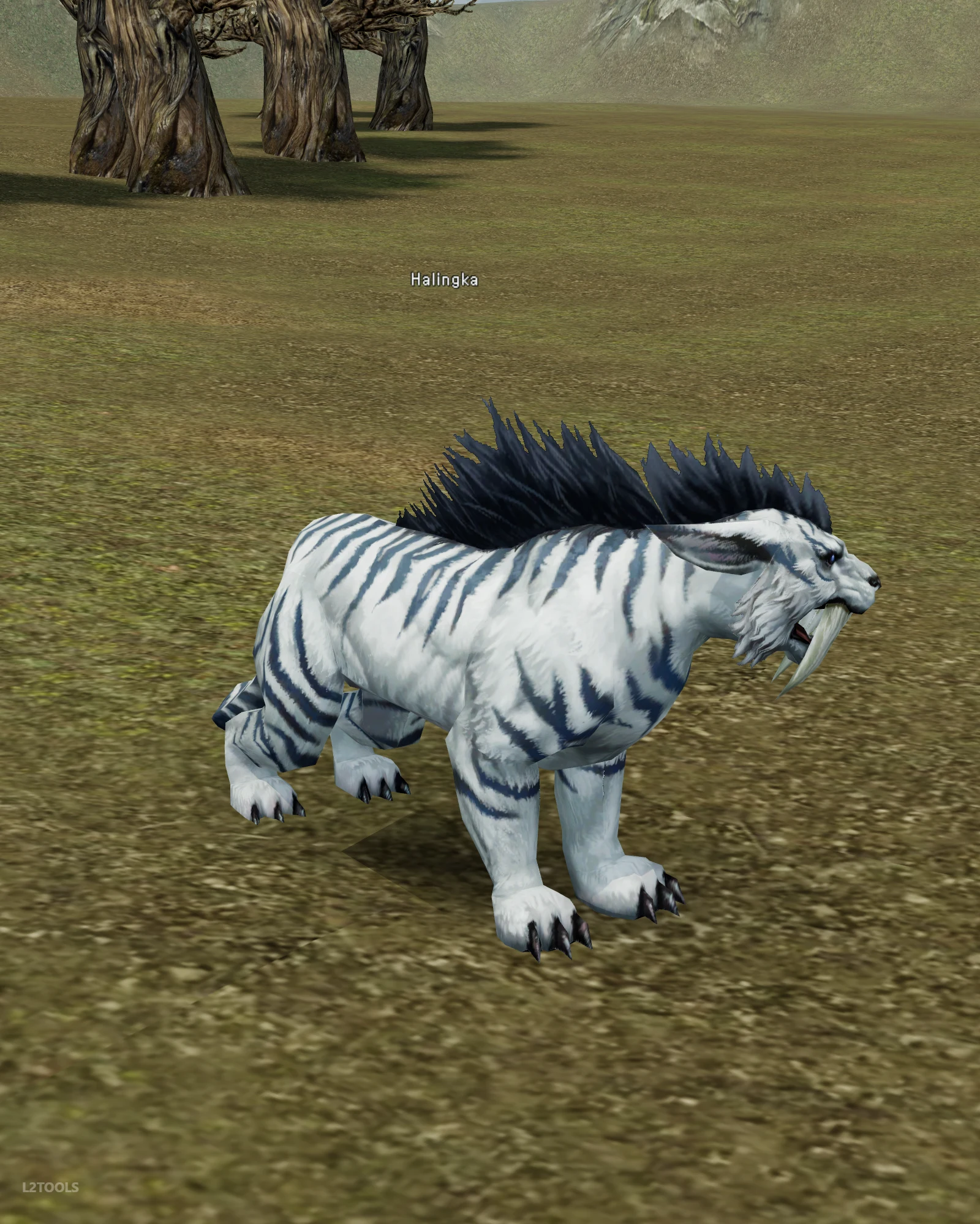 Halingka portrait