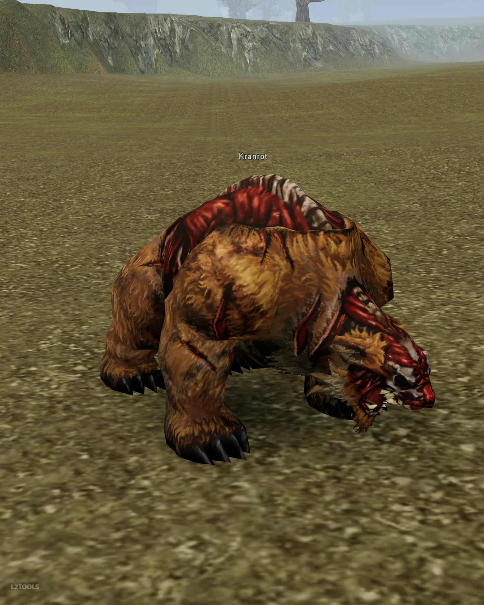 Kranrot portrait