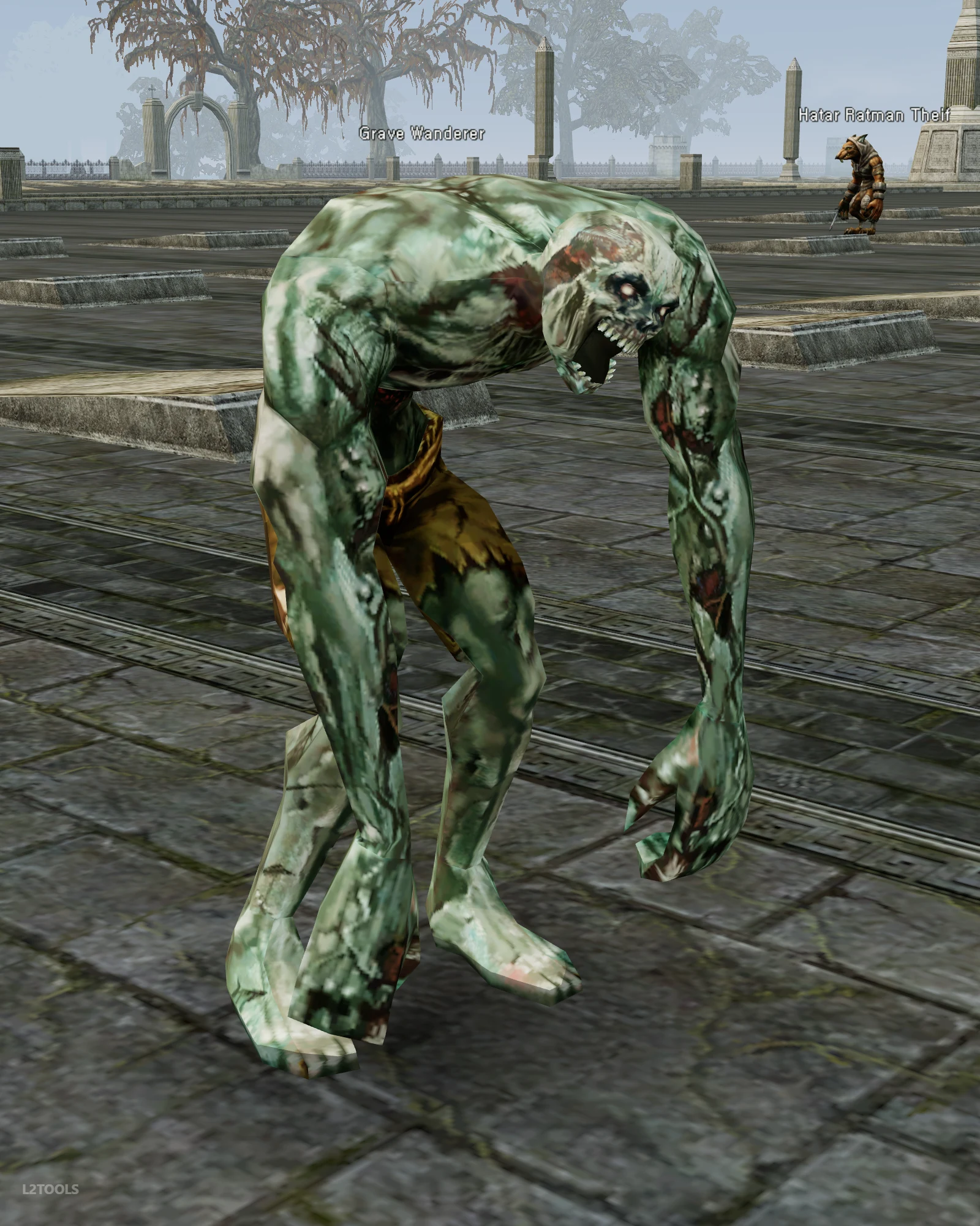 Grave Wanderer portrait
