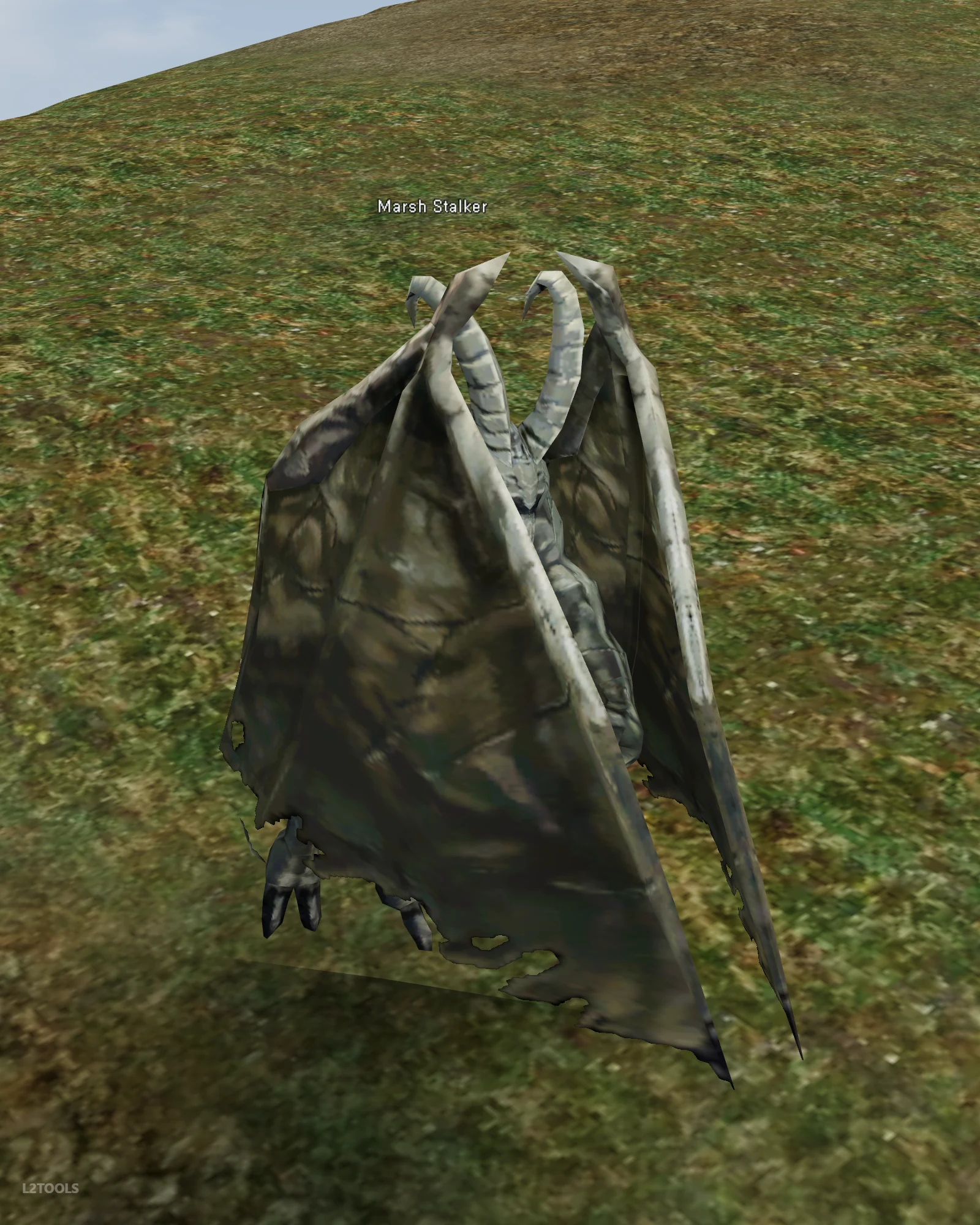 Marsh Stalker portrait