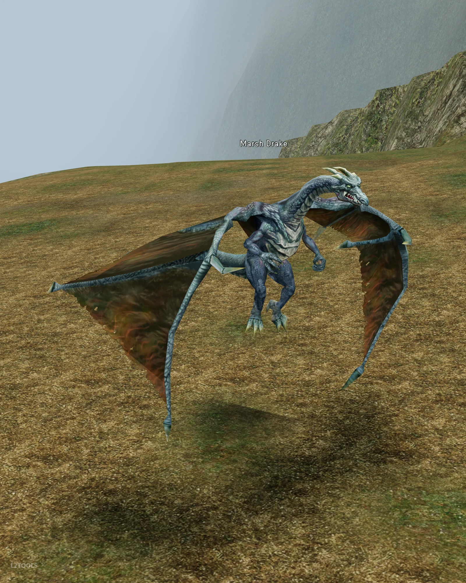 Marsh Drake portrait