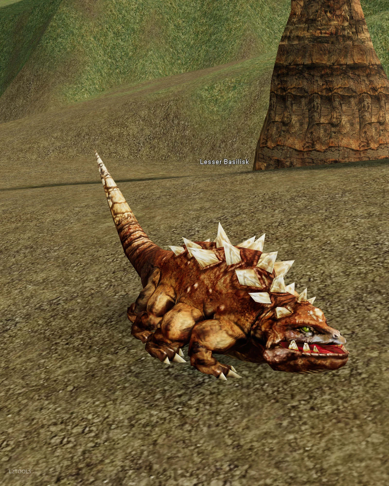 Lesser Basilisk portrait