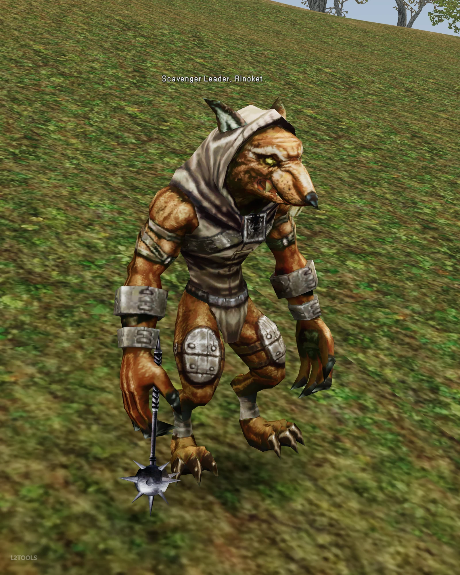 Scavenger Leader, Rinoket portrait