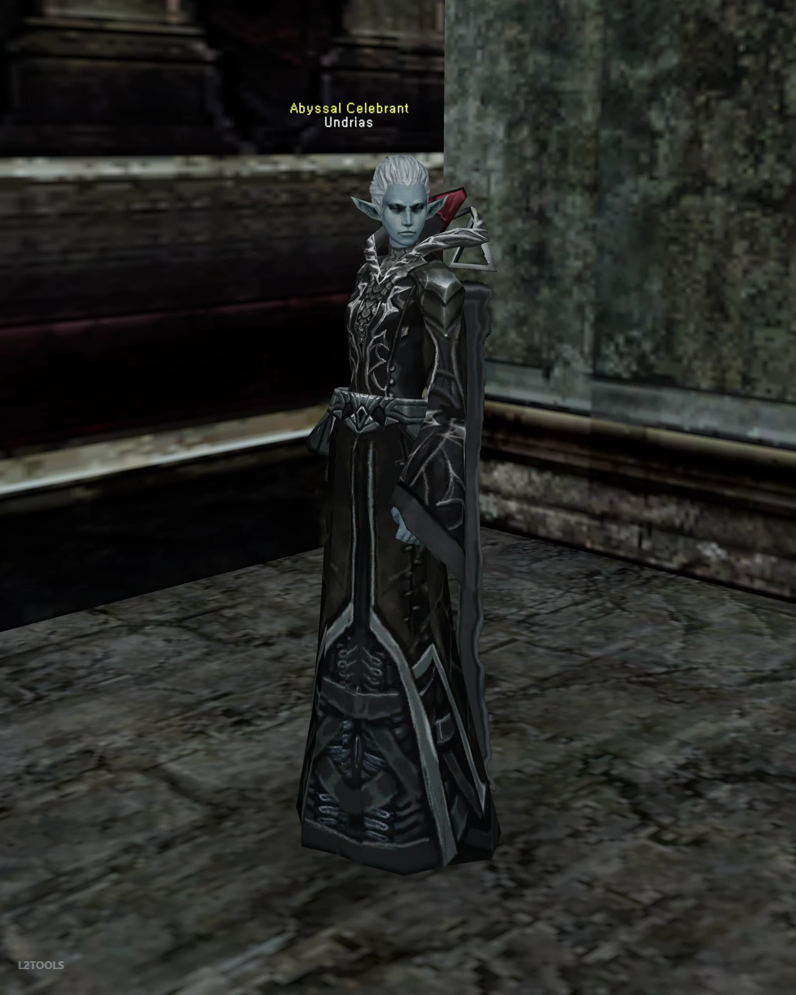 Undrias portrait