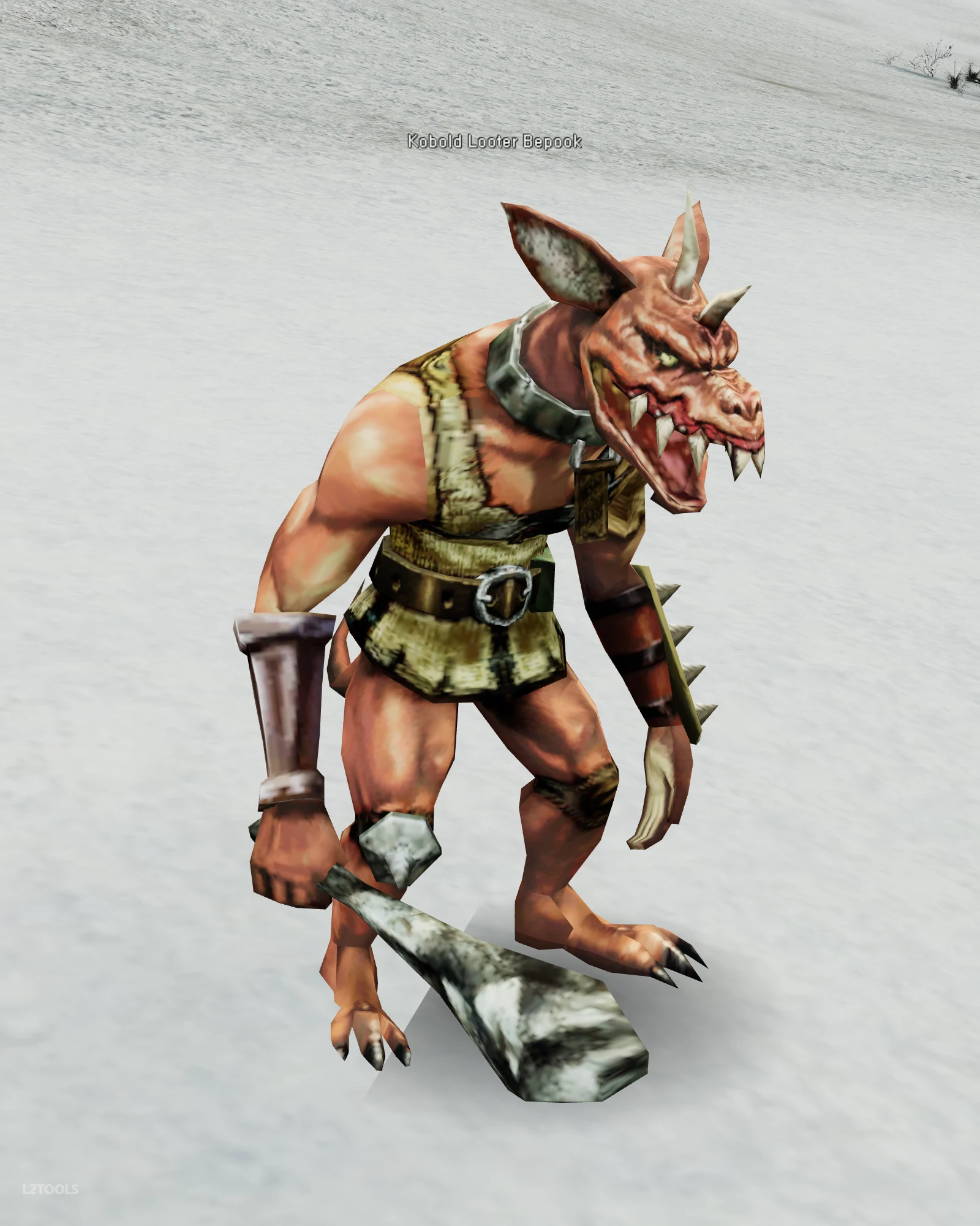 Kobold Looter Bepook portrait