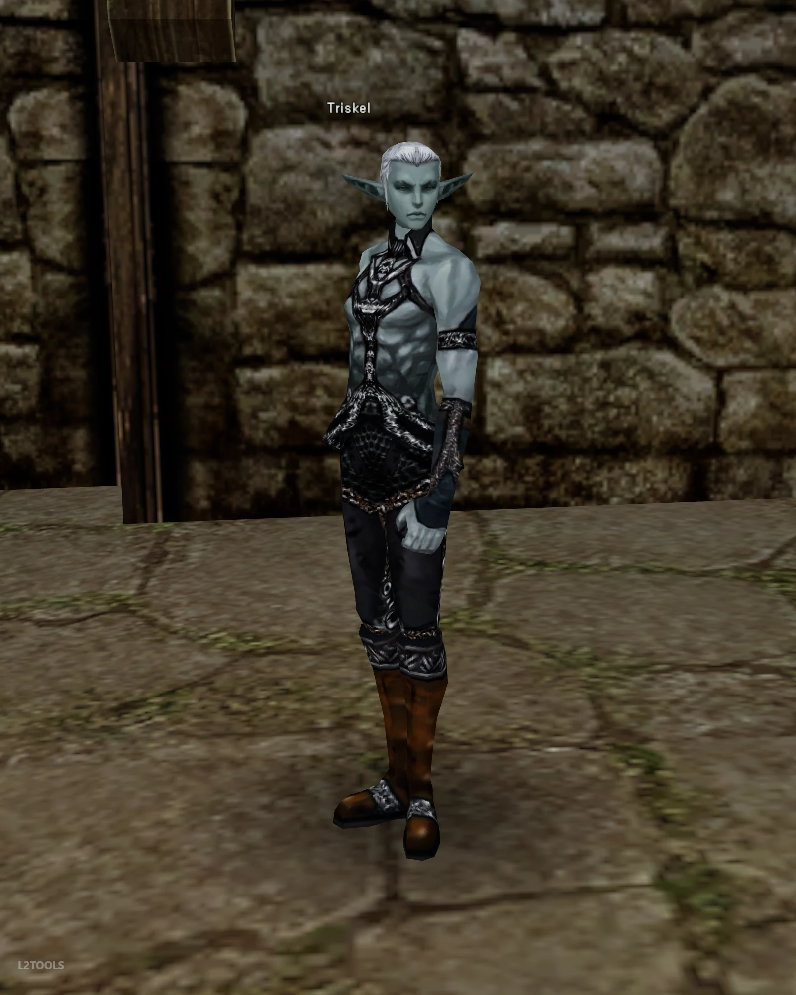 Triskel portrait