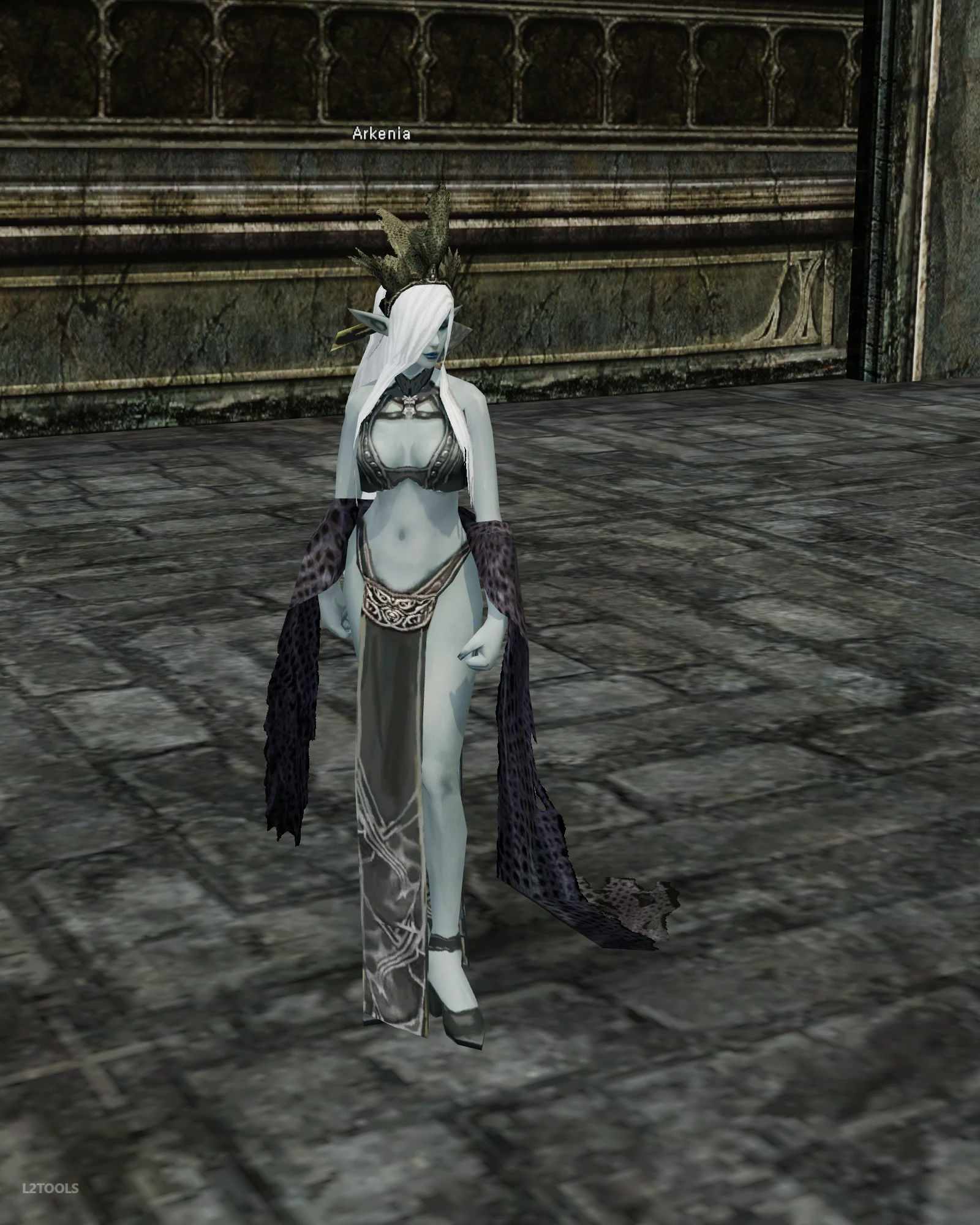 Arkenia portrait