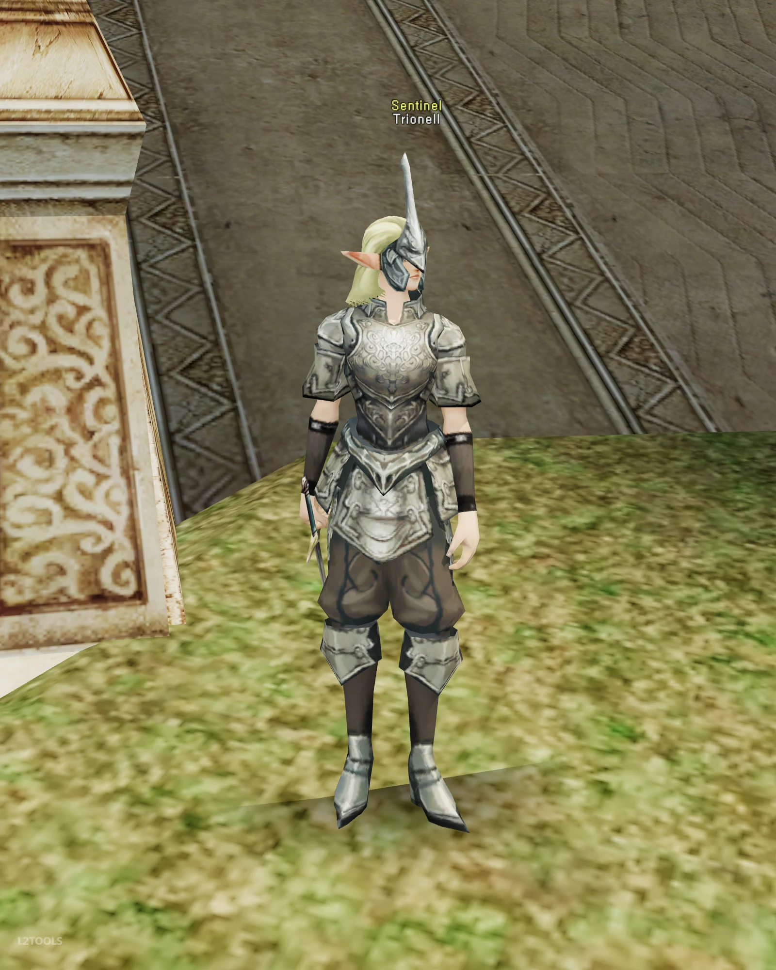 Trionell portrait