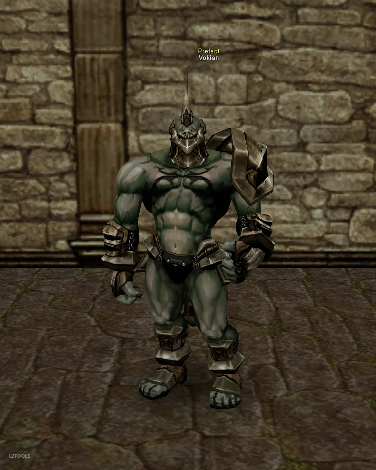 Vokian portrait