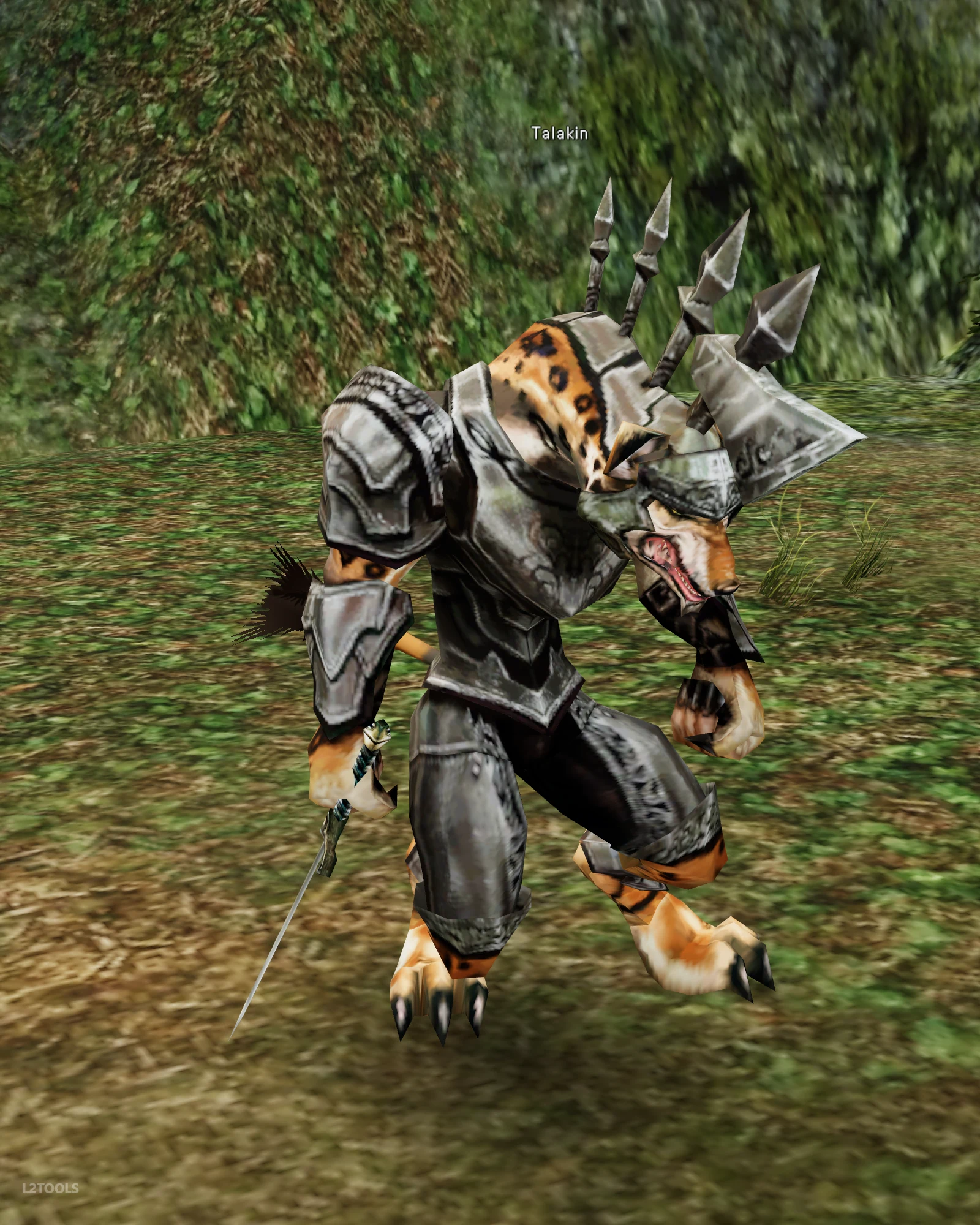 Talakin portrait
